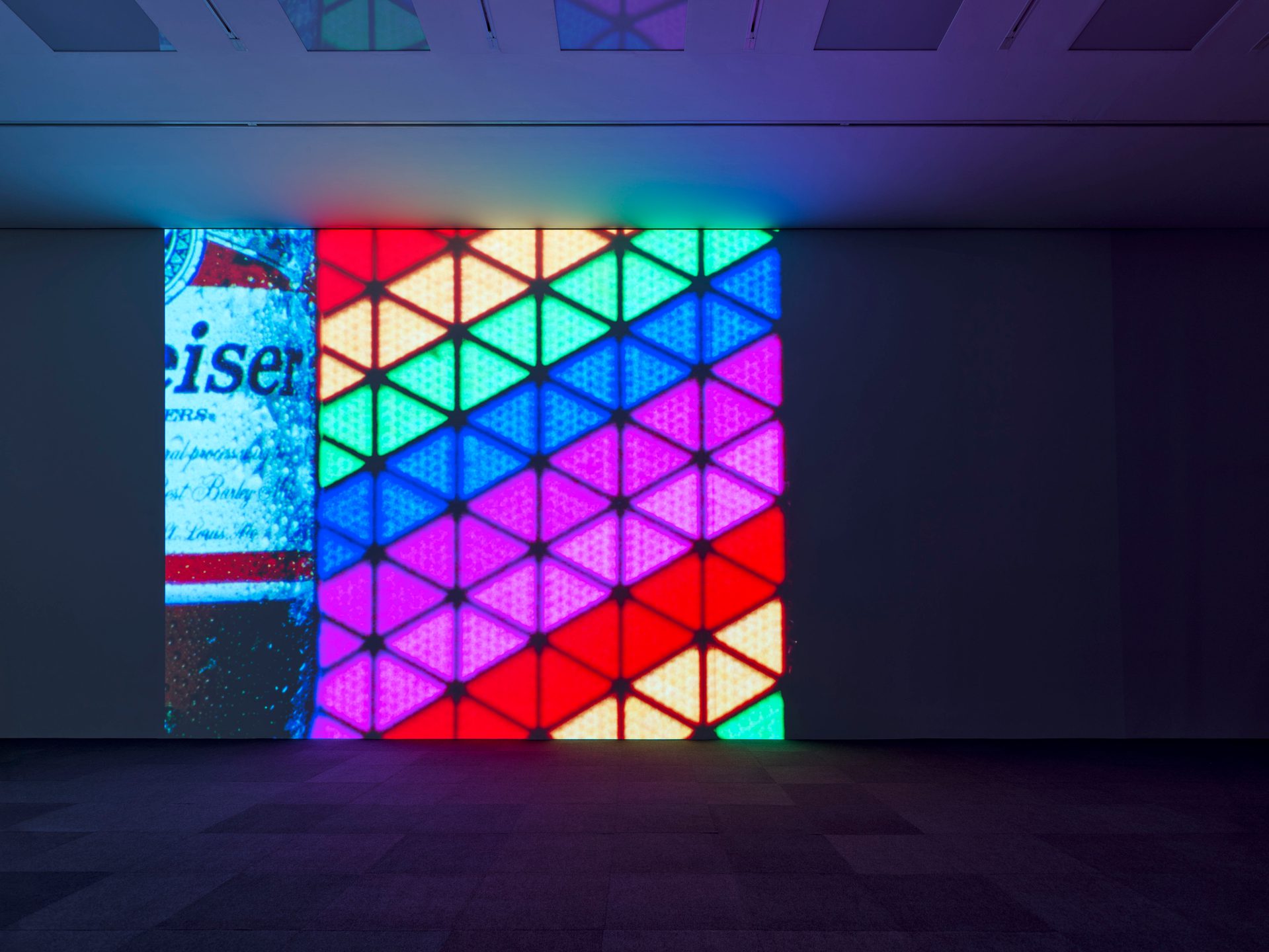 Sarah Morris, Snow Leopards and Skyscrapers at White Cube, photo 11