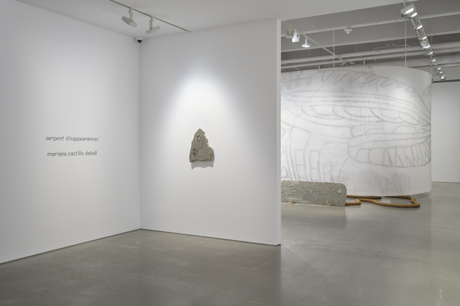 Mariana Castillo Deball, Serpent Disappearances at Kurimanzutto, photo 4
