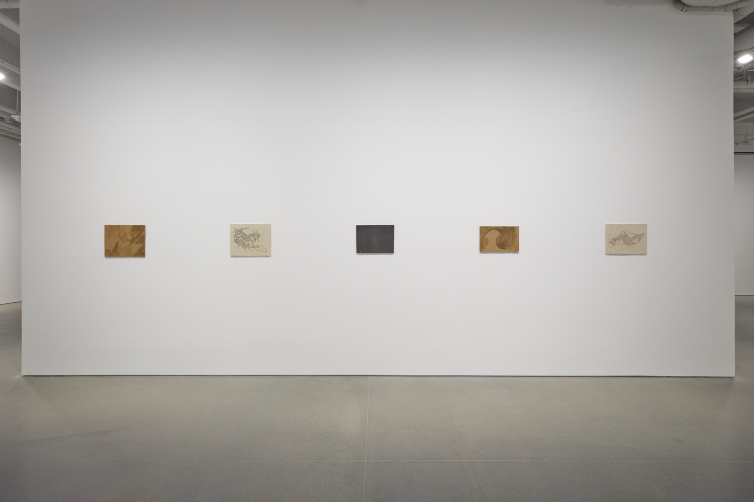 Mariana Castillo Deball, Serpent Disappearances at Kurimanzutto, photo 6