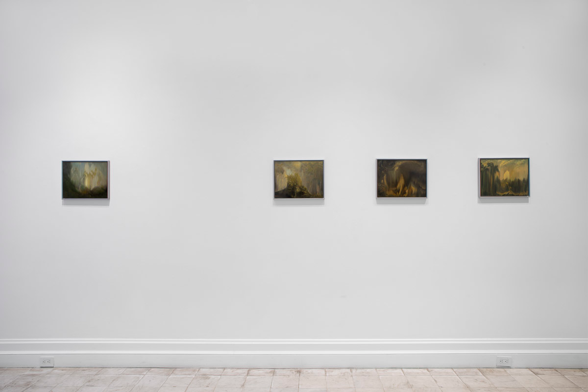 Installation view 4