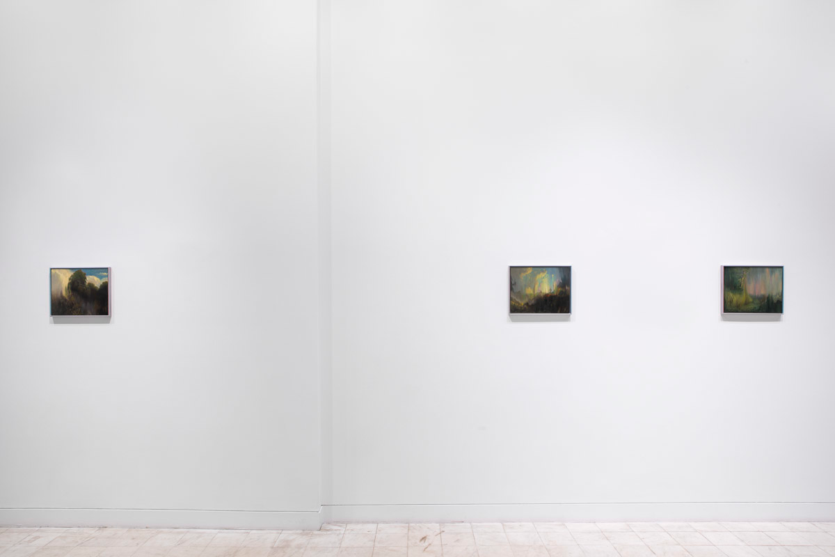 Installation view 6