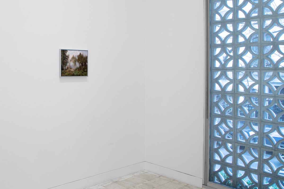 Installation view 7