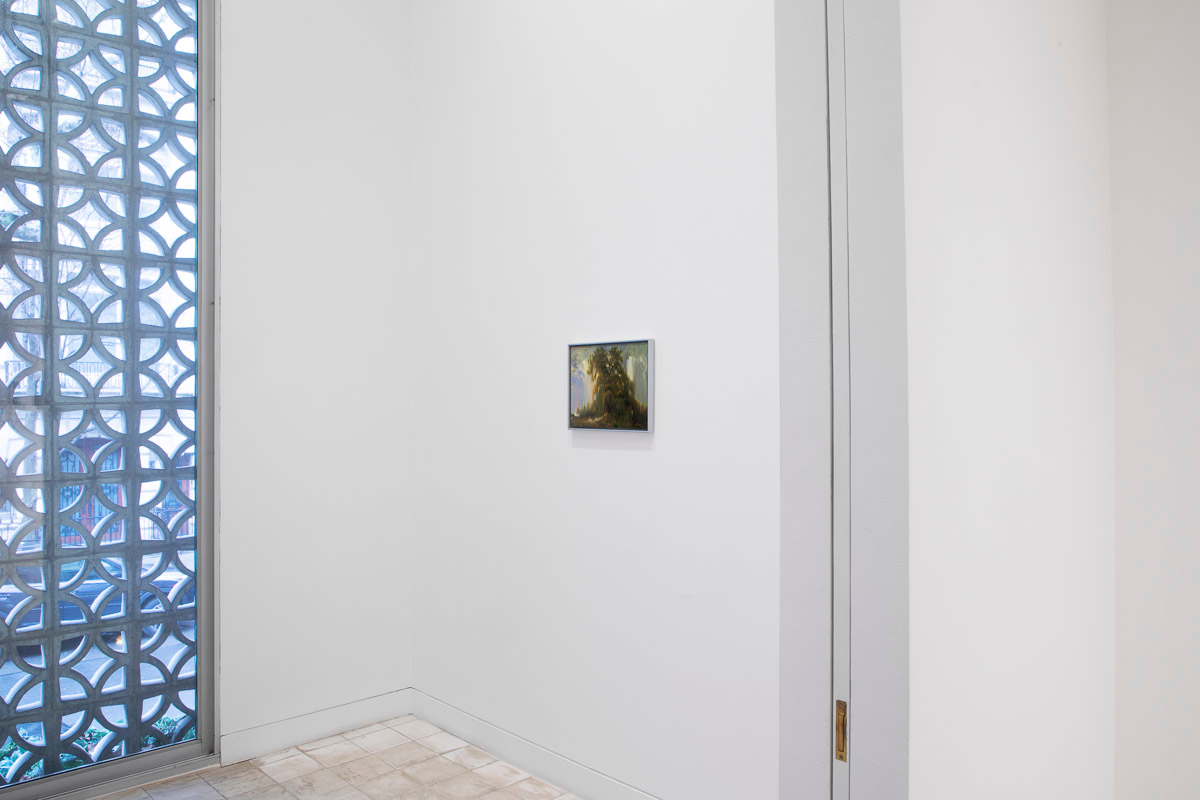 Installation view 8