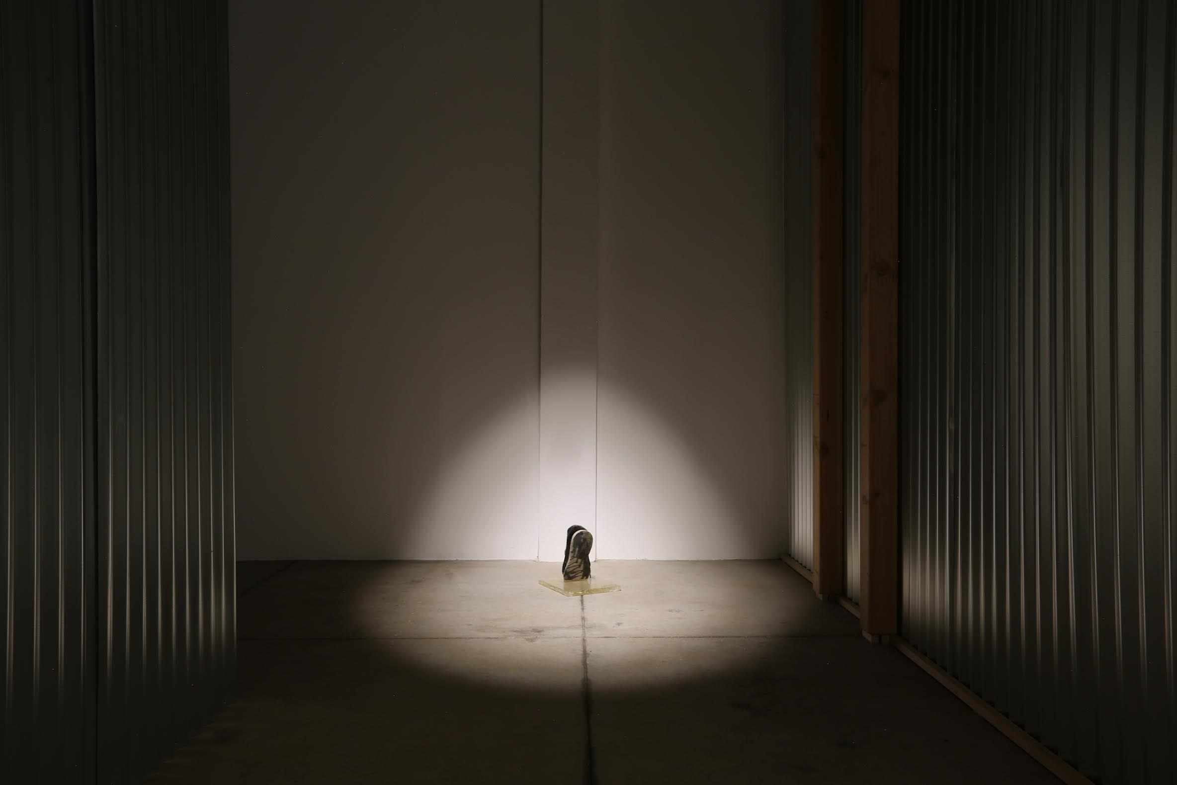 Ryat Yezbick, Choreographies of Retreat at Reisig and Taylor Contemporary, photo 4