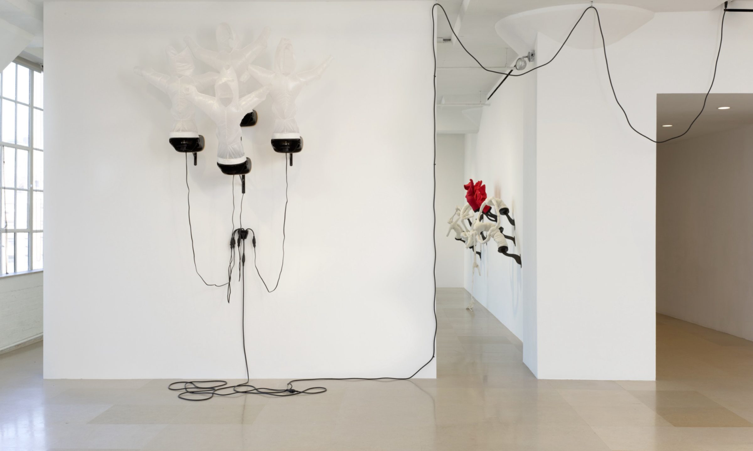 Paul Chan, Automa Mon Amour at Greene Naftali, photo 6