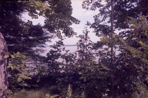 E. Jane, Cryptid or Let the Body Be at Anonymous, photo 2