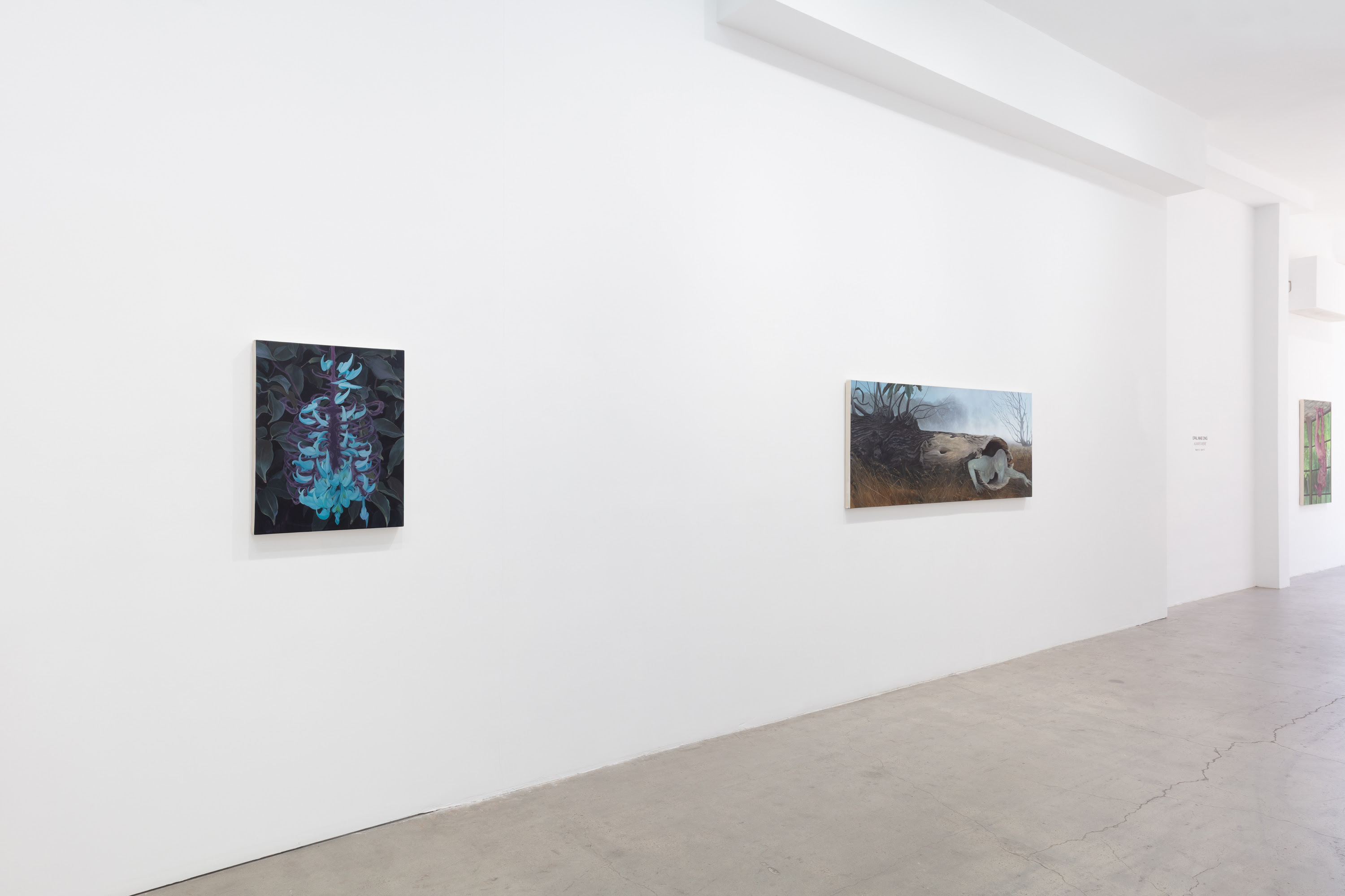 Opal Mae Ong, Always Were at Plato, photo 15