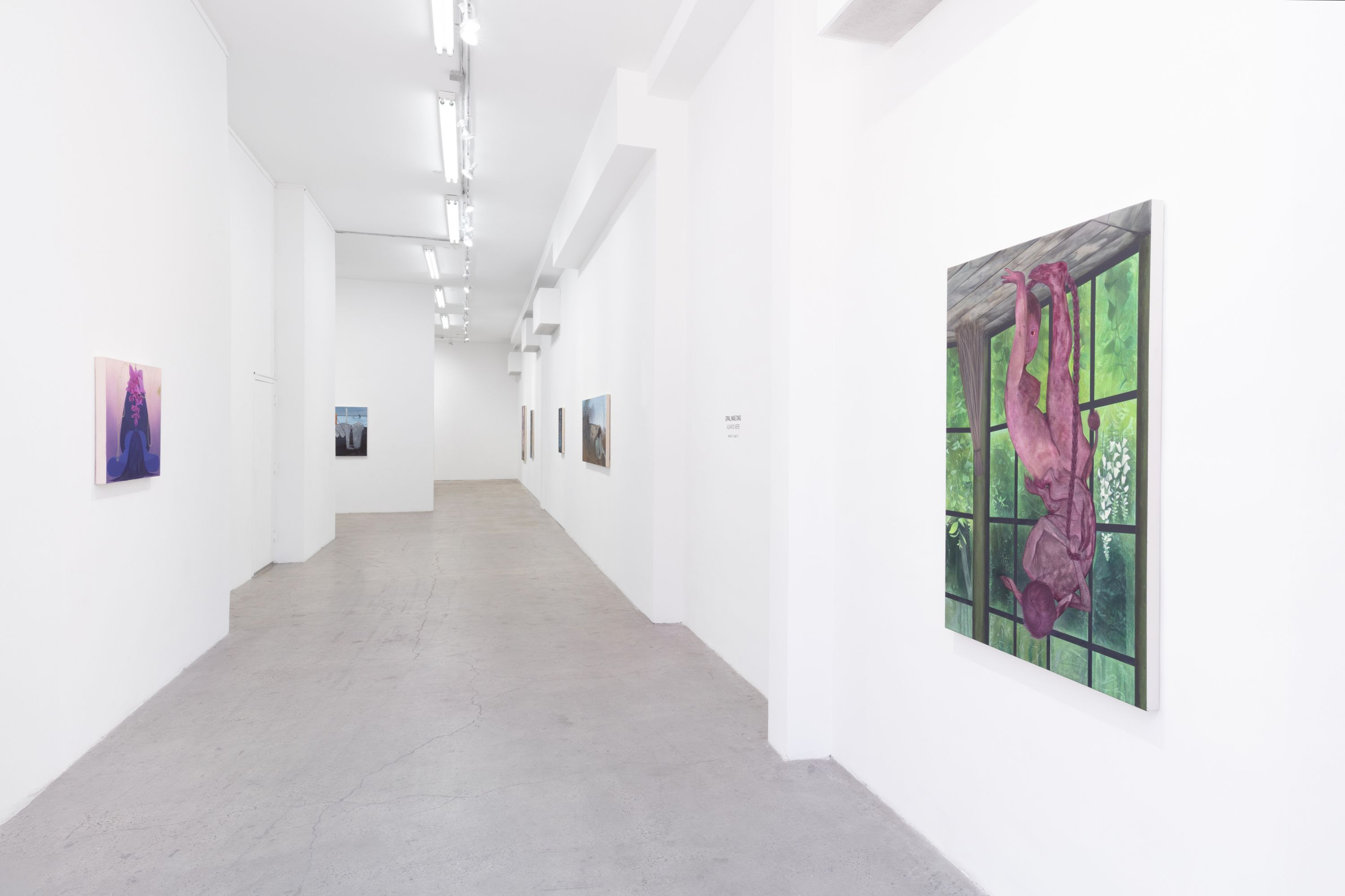 Opal Mae Ong, Always Were at Plato, photo 19