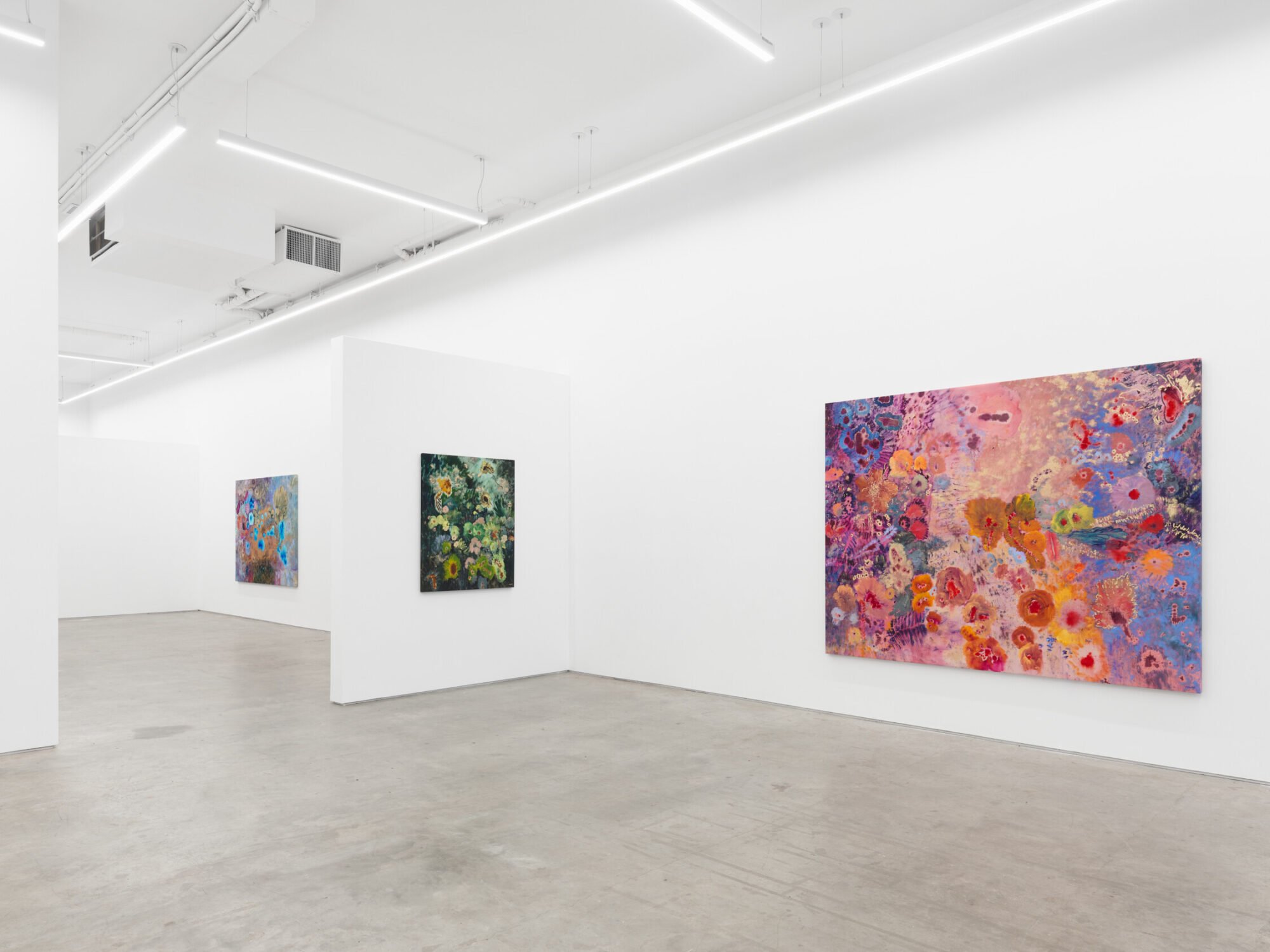 Ileana García Magoda, In the Body of Light at Anat Ebgi, photo 11