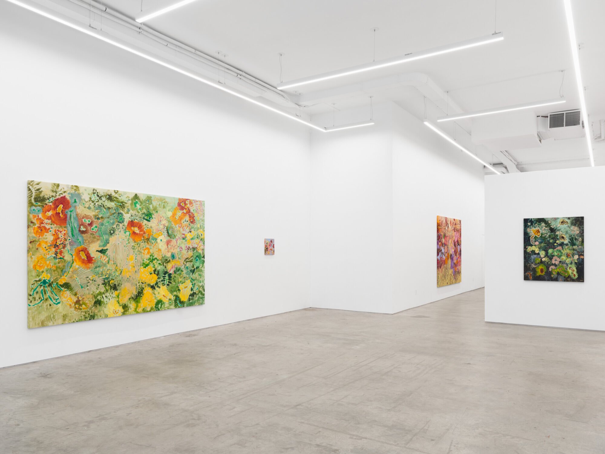 Ileana García Magoda, In the Body of Light at Anat Ebgi, photo 6