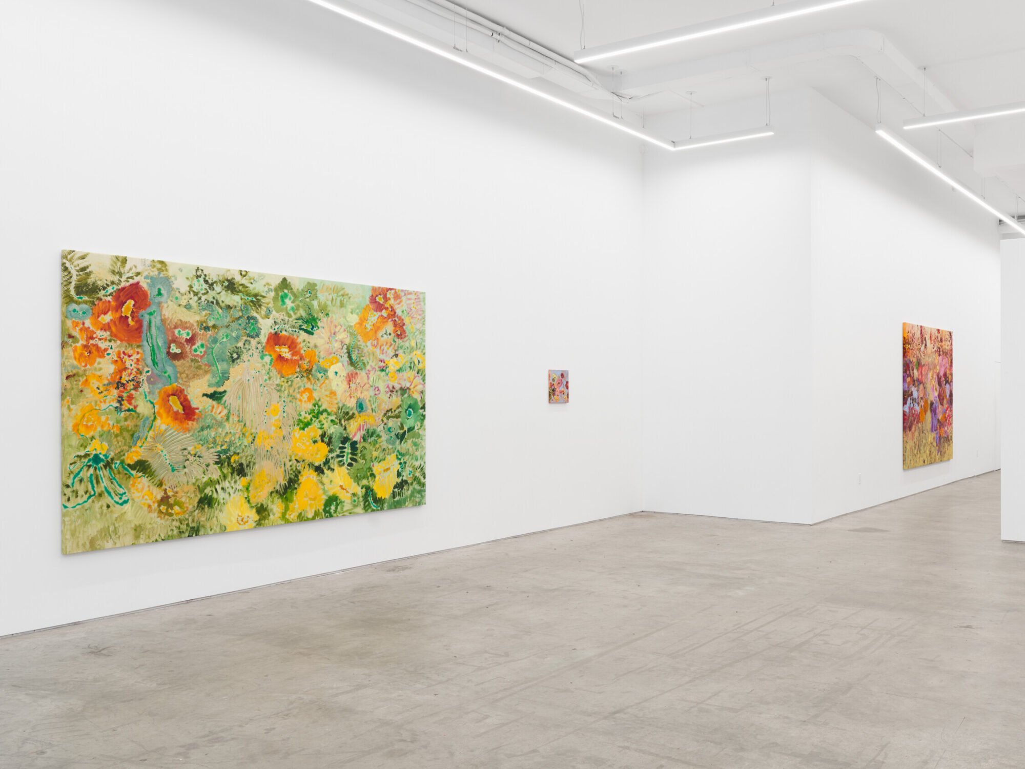 Ileana García Magoda, In the Body of Light at Anat Ebgi, photo 7
