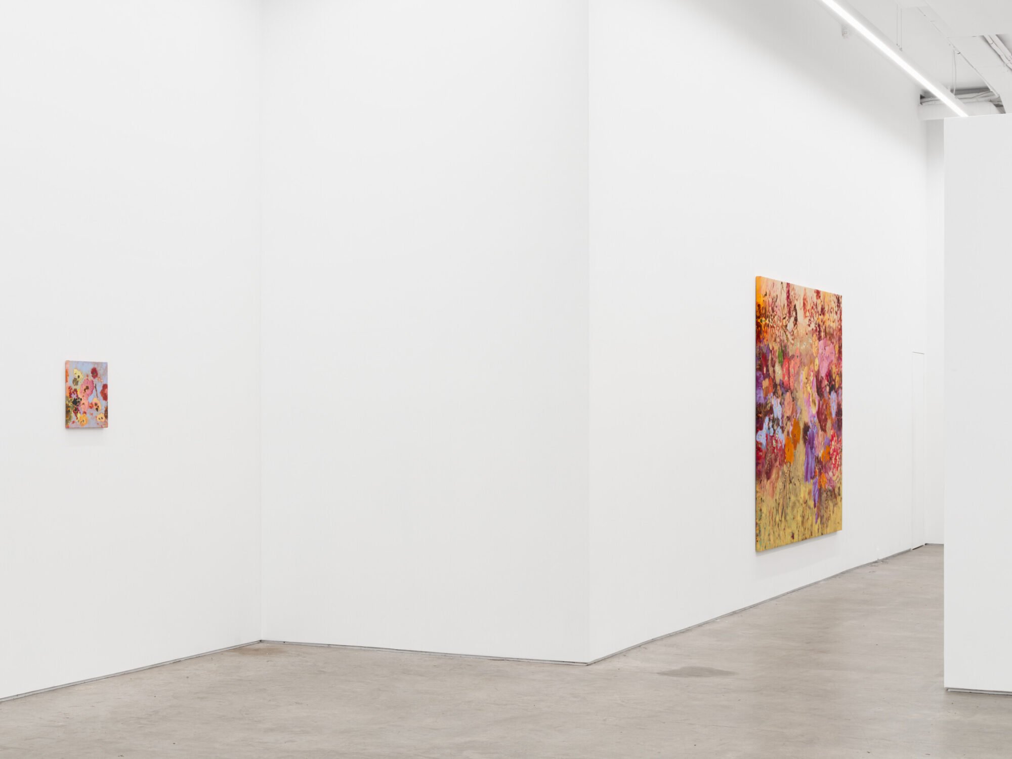 Ileana García Magoda, In the Body of Light at Anat Ebgi, photo 8