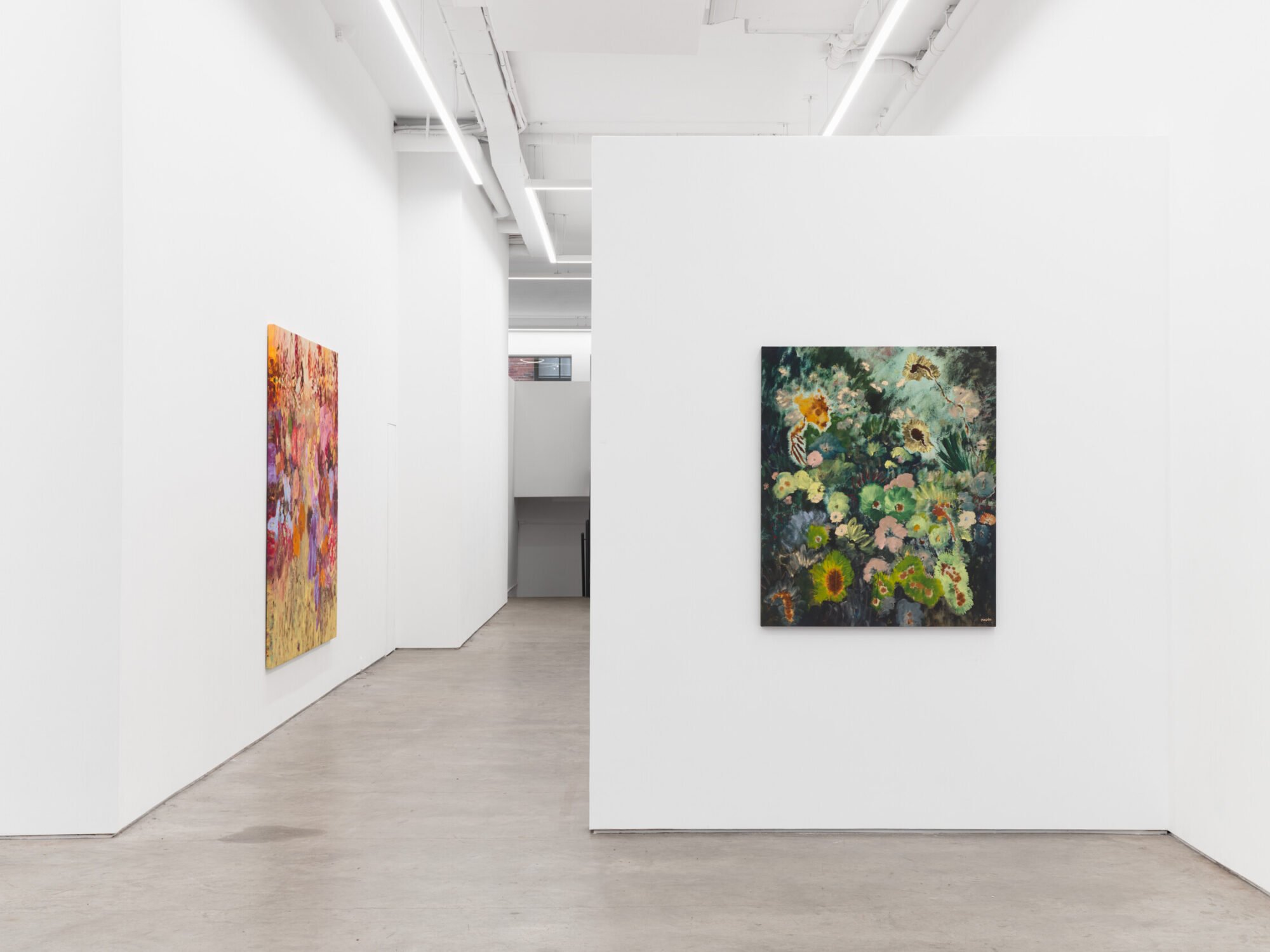 Ileana García Magoda, In the Body of Light at Anat Ebgi, photo 9