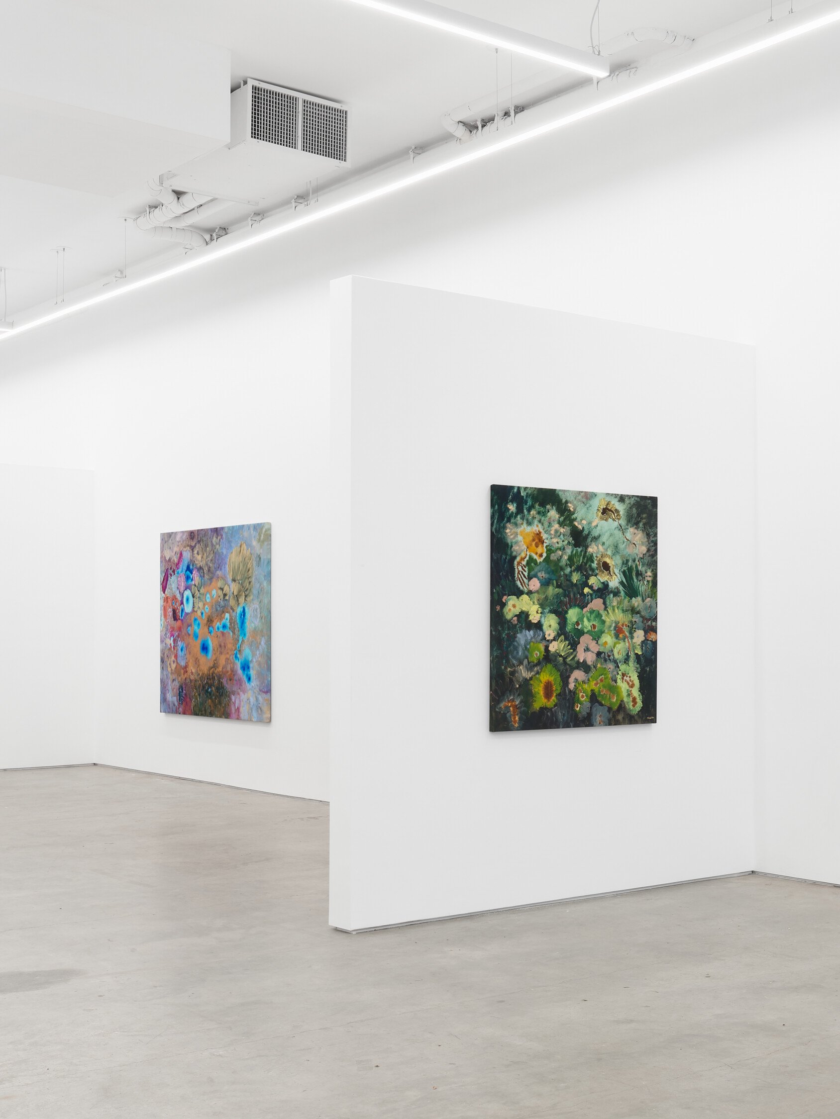 Ileana García Magoda, In the Body of Light at Anat Ebgi, photo 10