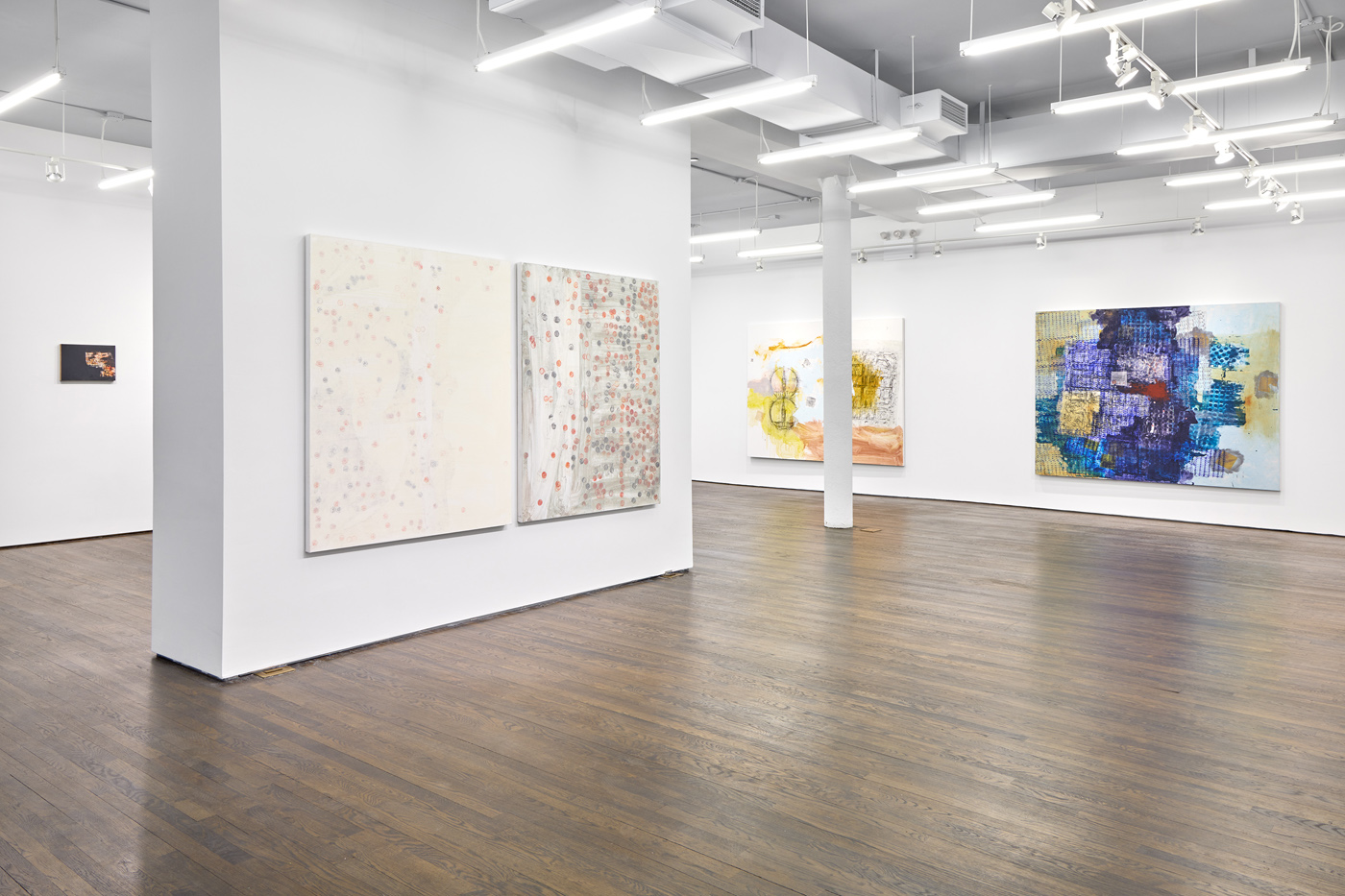 Anthony Torrano, image 6 of 8