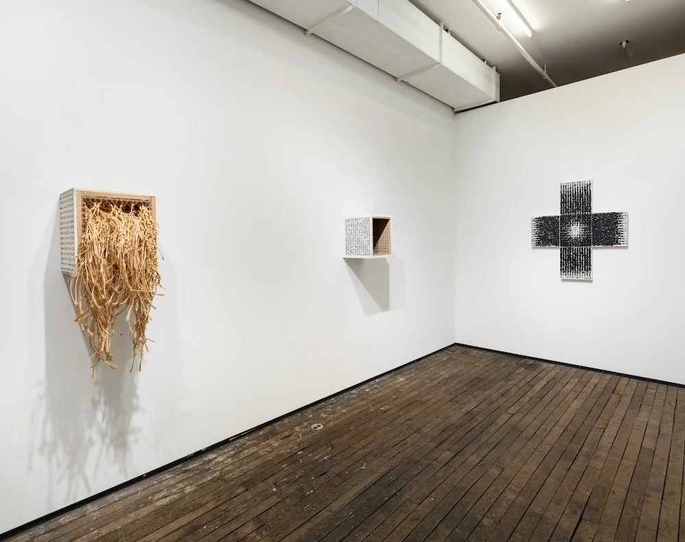 Brenda Miller, Dianderous, Entassis, Gaude: Works 1971–93 at Zürcher Gallery, photo 6