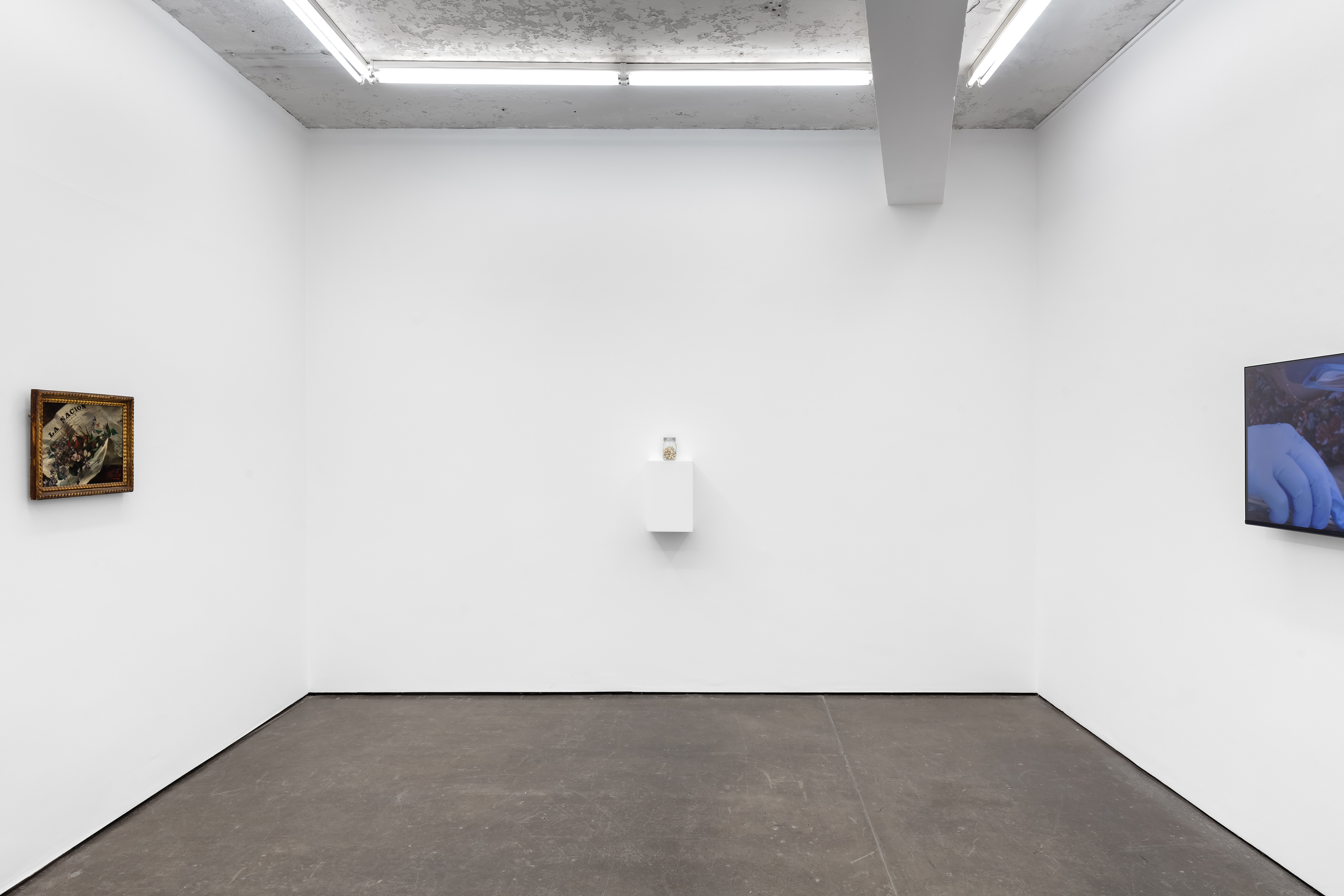 Amalia Pica, Daisy Chain at Herald St, photo 6
