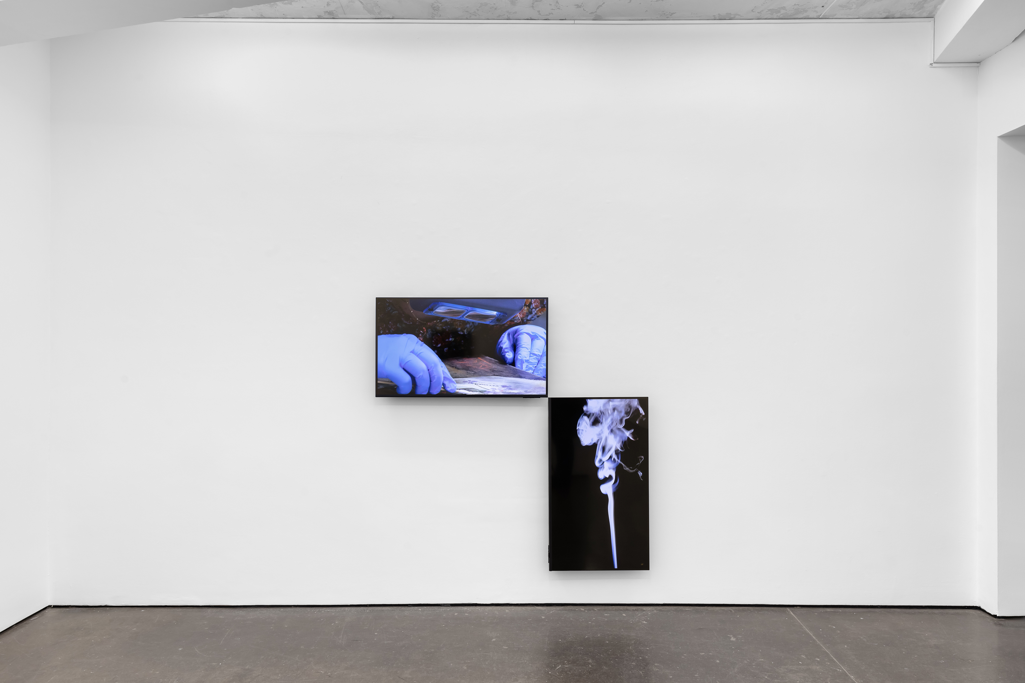 Amalia Pica, Daisy Chain at Herald St, photo 7