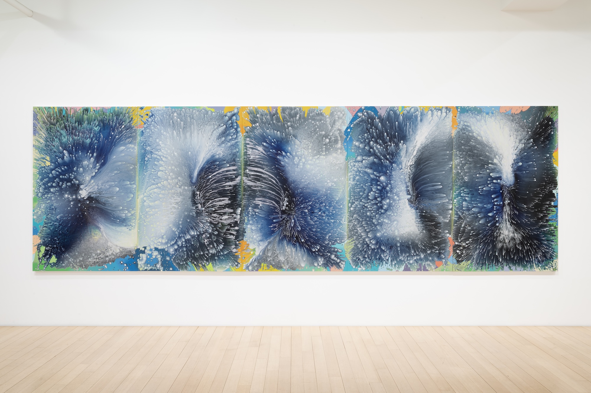 Barbara Takenaga, Parallax at DC Moore, photo 2
