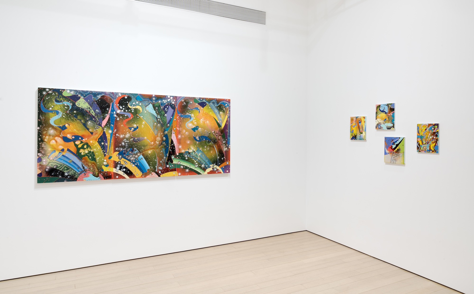 Barbara Takenaga, Parallax at DC Moore, photo 11