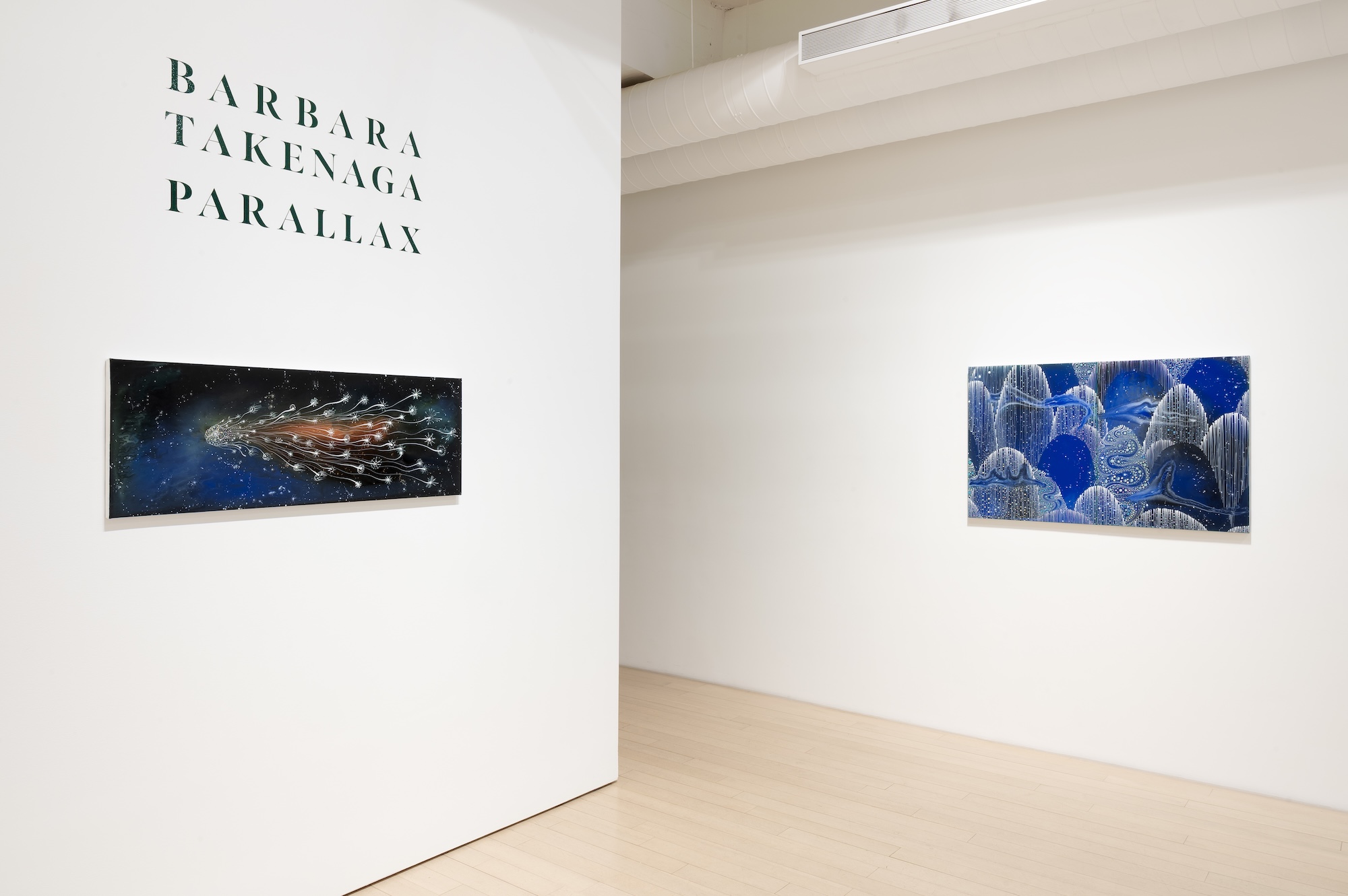 Barbara Takenaga, Parallax at DC Moore, photo 12