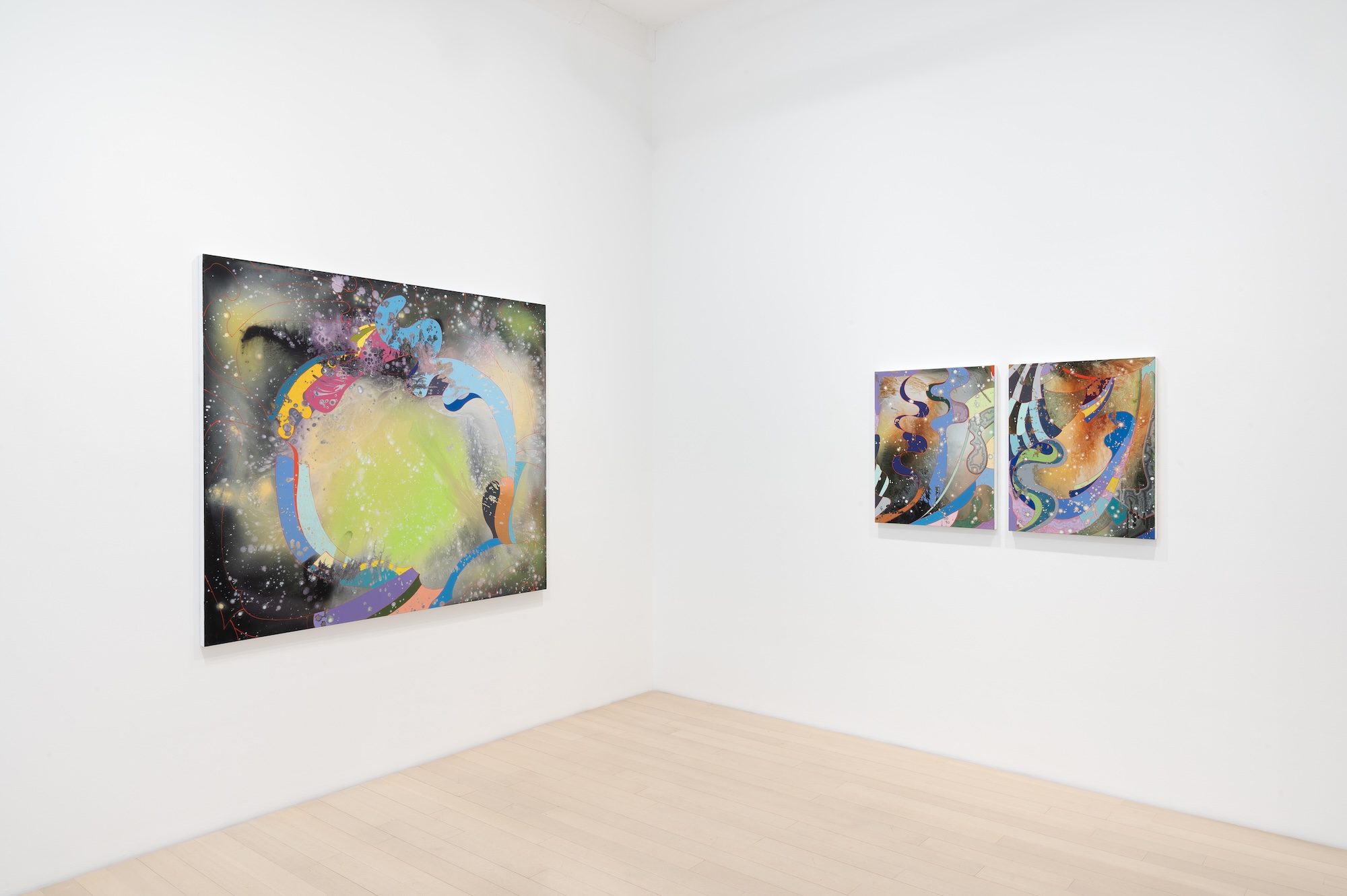 Barbara Takenaga, Parallax at DC Moore, photo 14