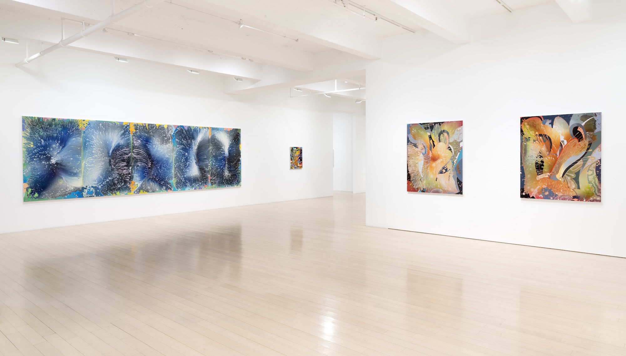 Barbara Takenaga, Parallax at DC Moore, photo 3