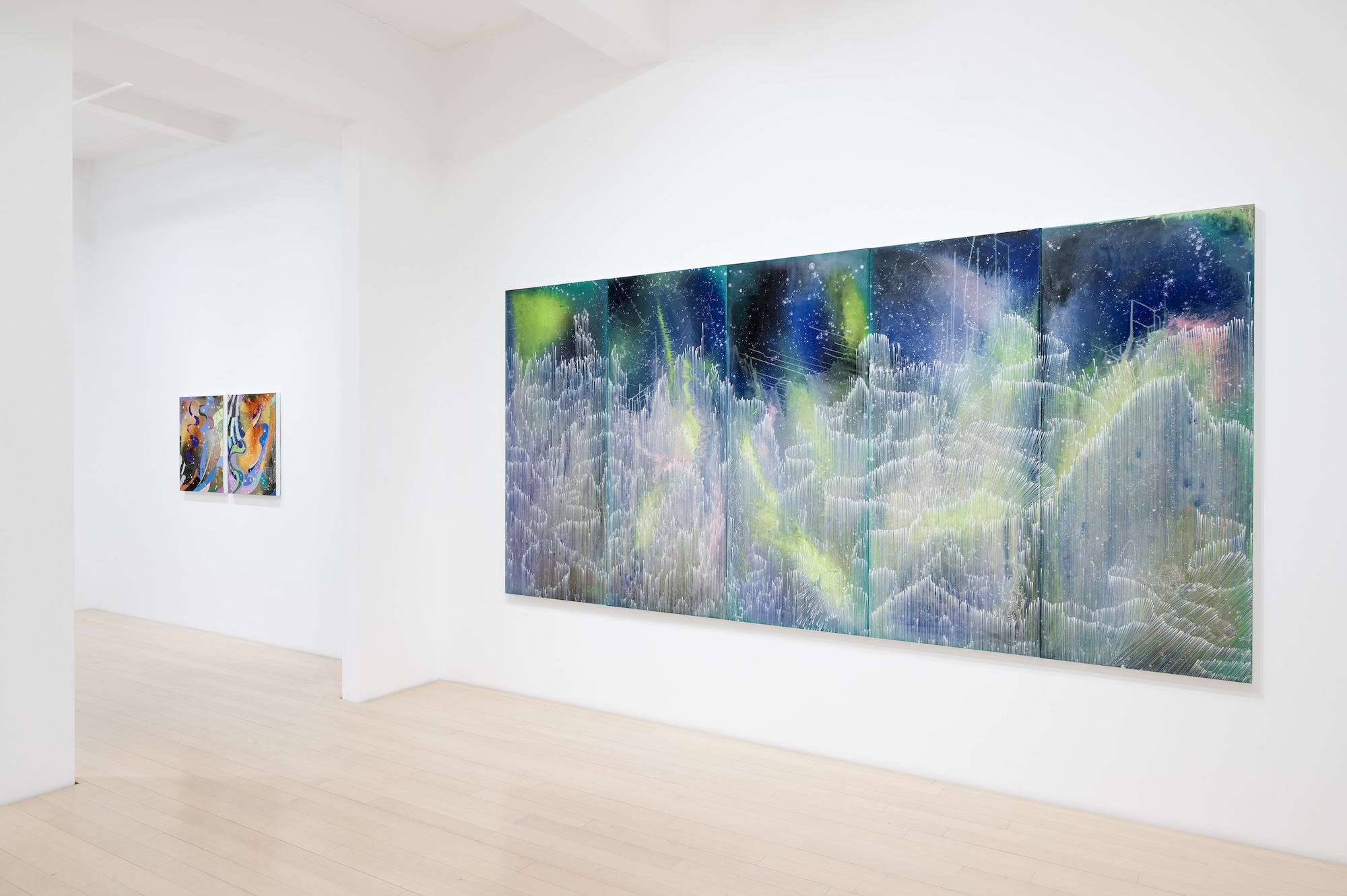 Barbara Takenaga, Parallax at DC Moore, photo 4