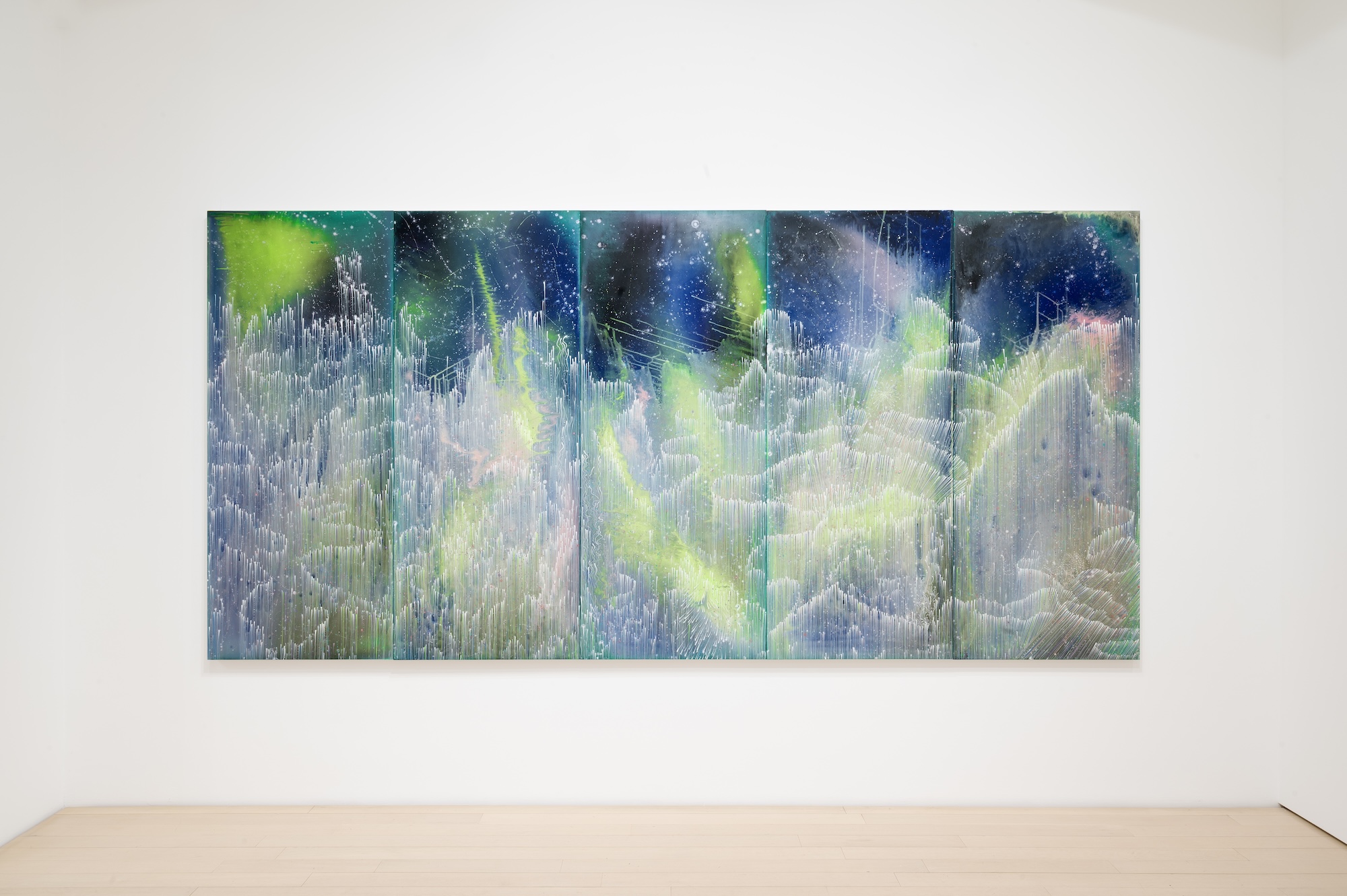 Barbara Takenaga, Parallax at DC Moore, photo 5