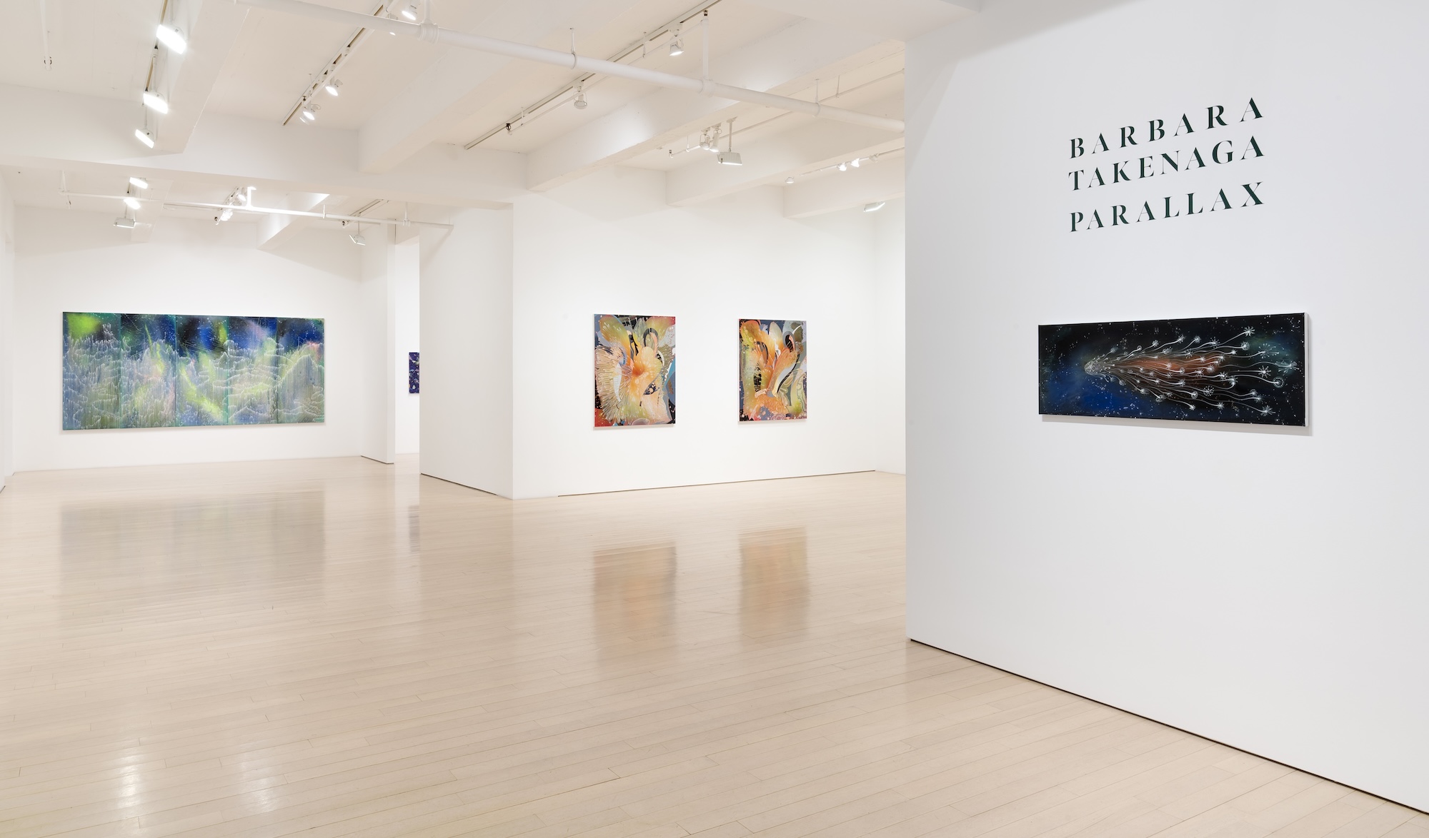 Barbara Takenaga, Parallax at DC Moore, photo 6