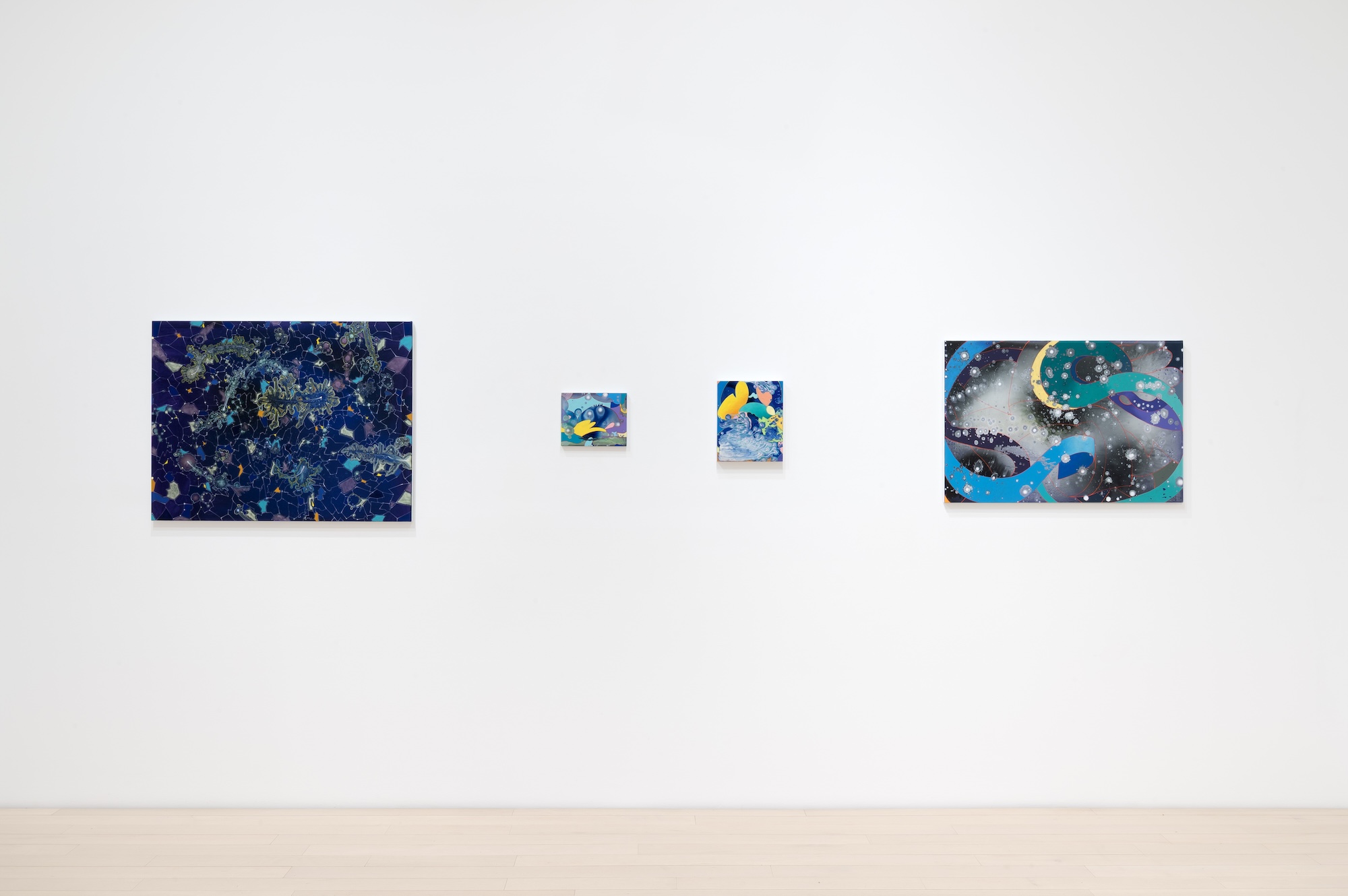 Barbara Takenaga, Parallax at DC Moore, photo 7