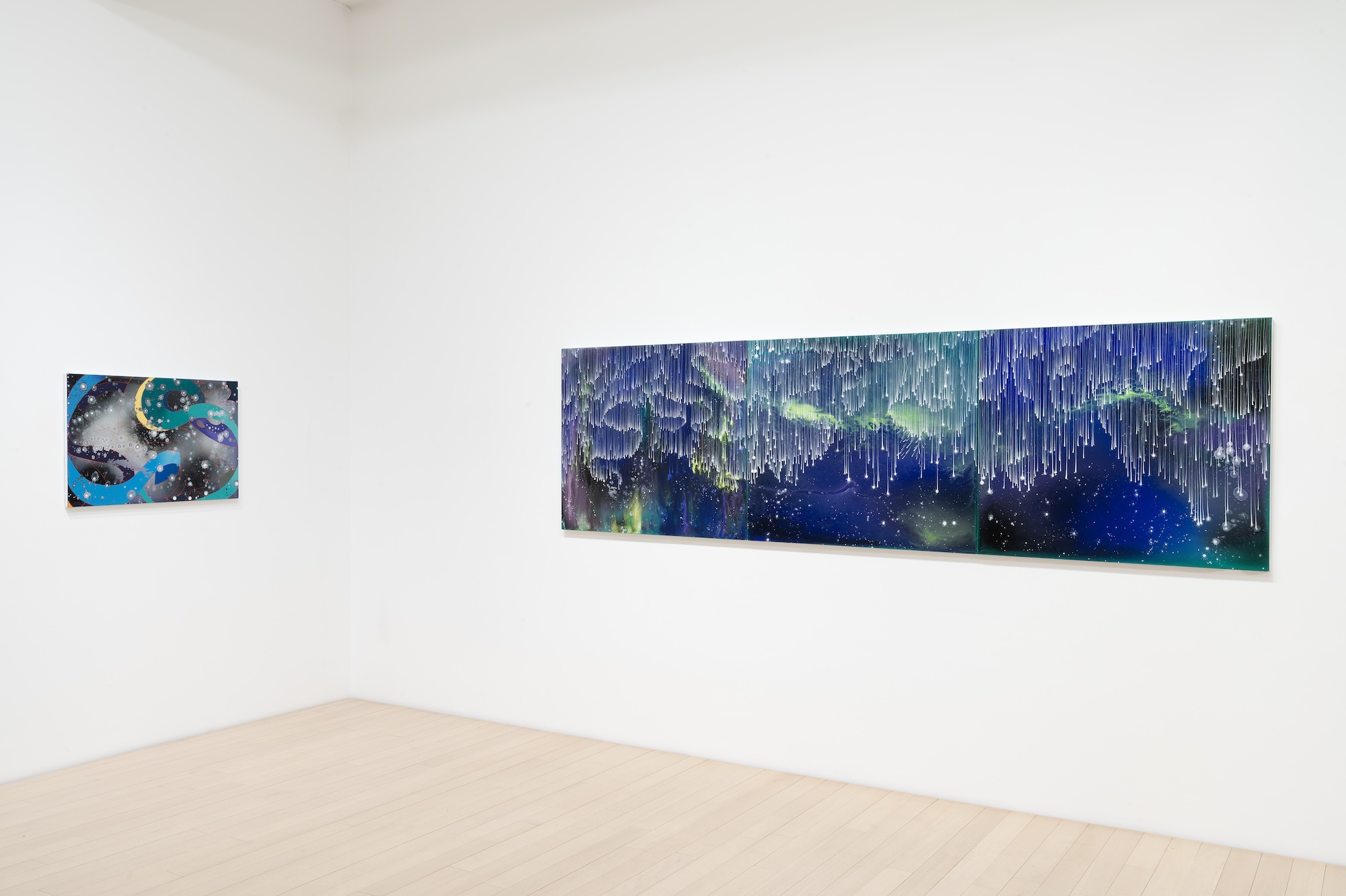 Barbara Takenaga, Parallax at DC Moore, photo 8