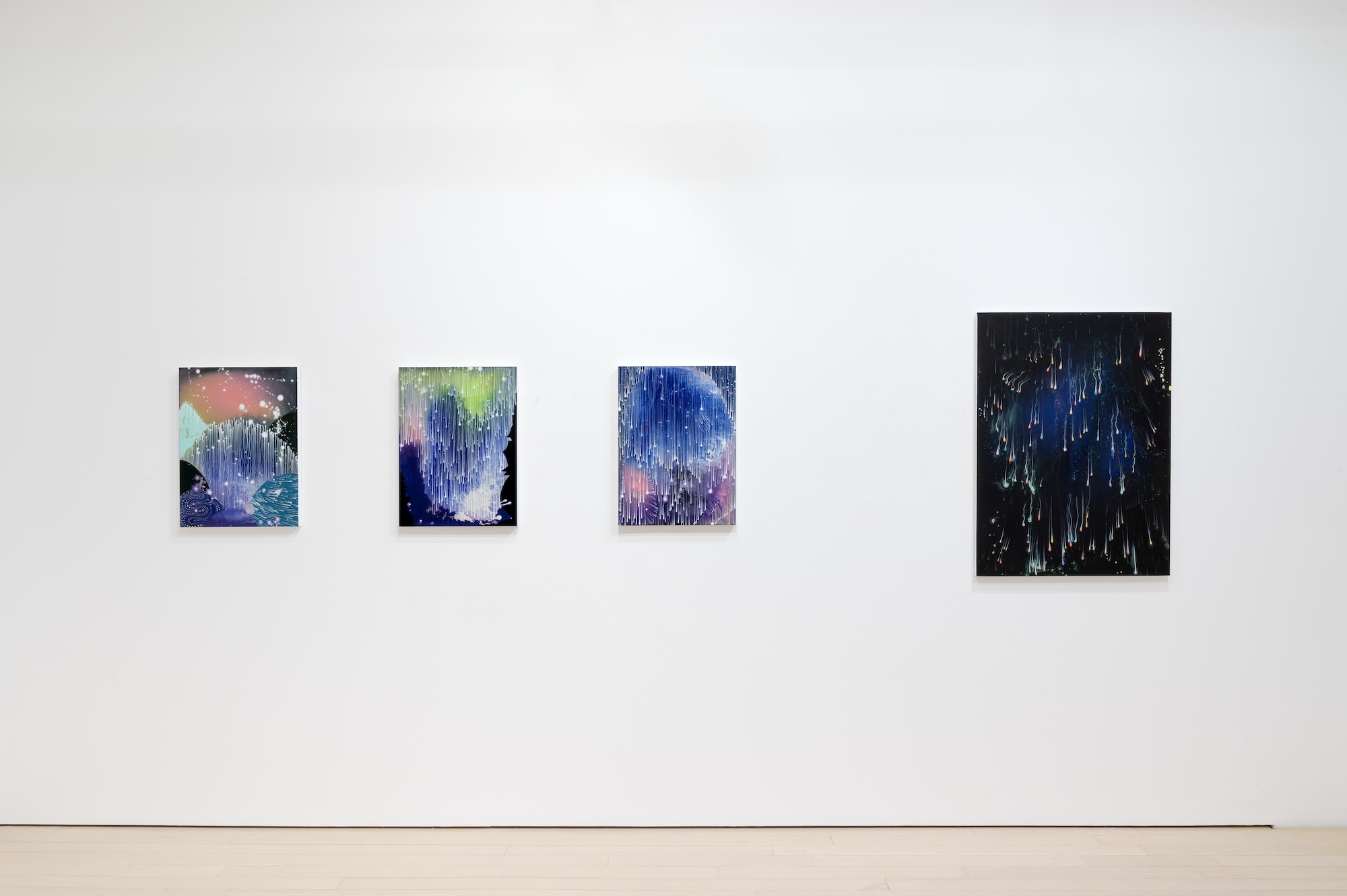 Barbara Takenaga, Parallax at DC Moore, photo 9