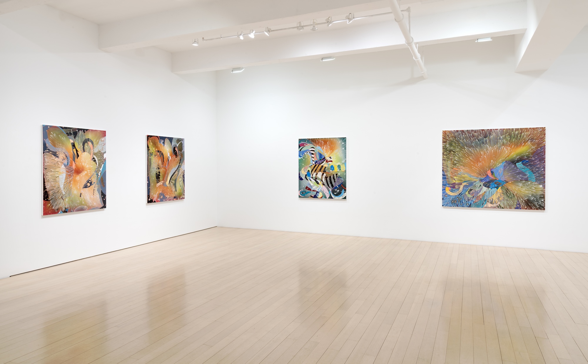 Barbara Takenaga, Parallax at DC Moore, photo 10