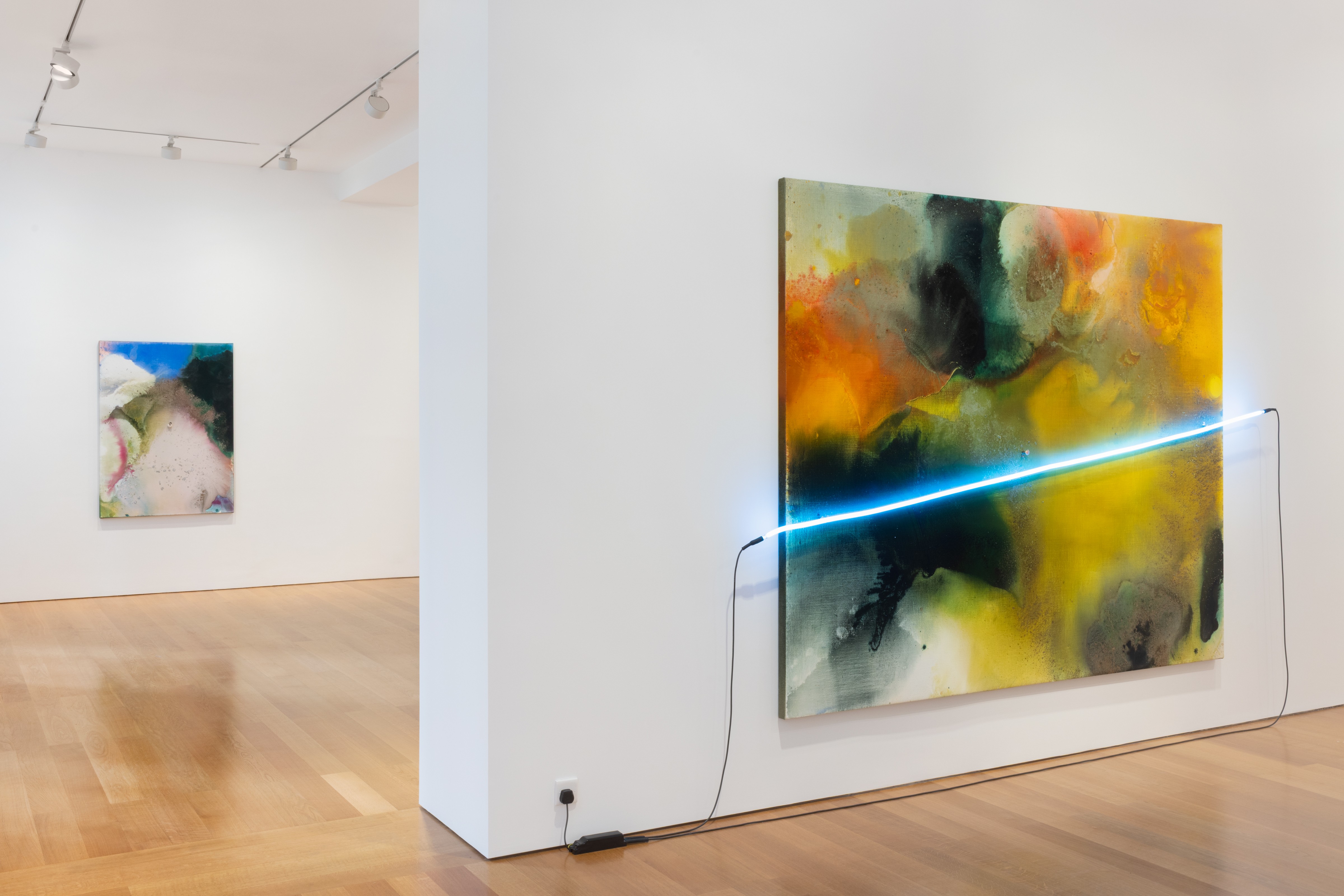Mary Weatherford, Persephone at Gagosian, photo 4