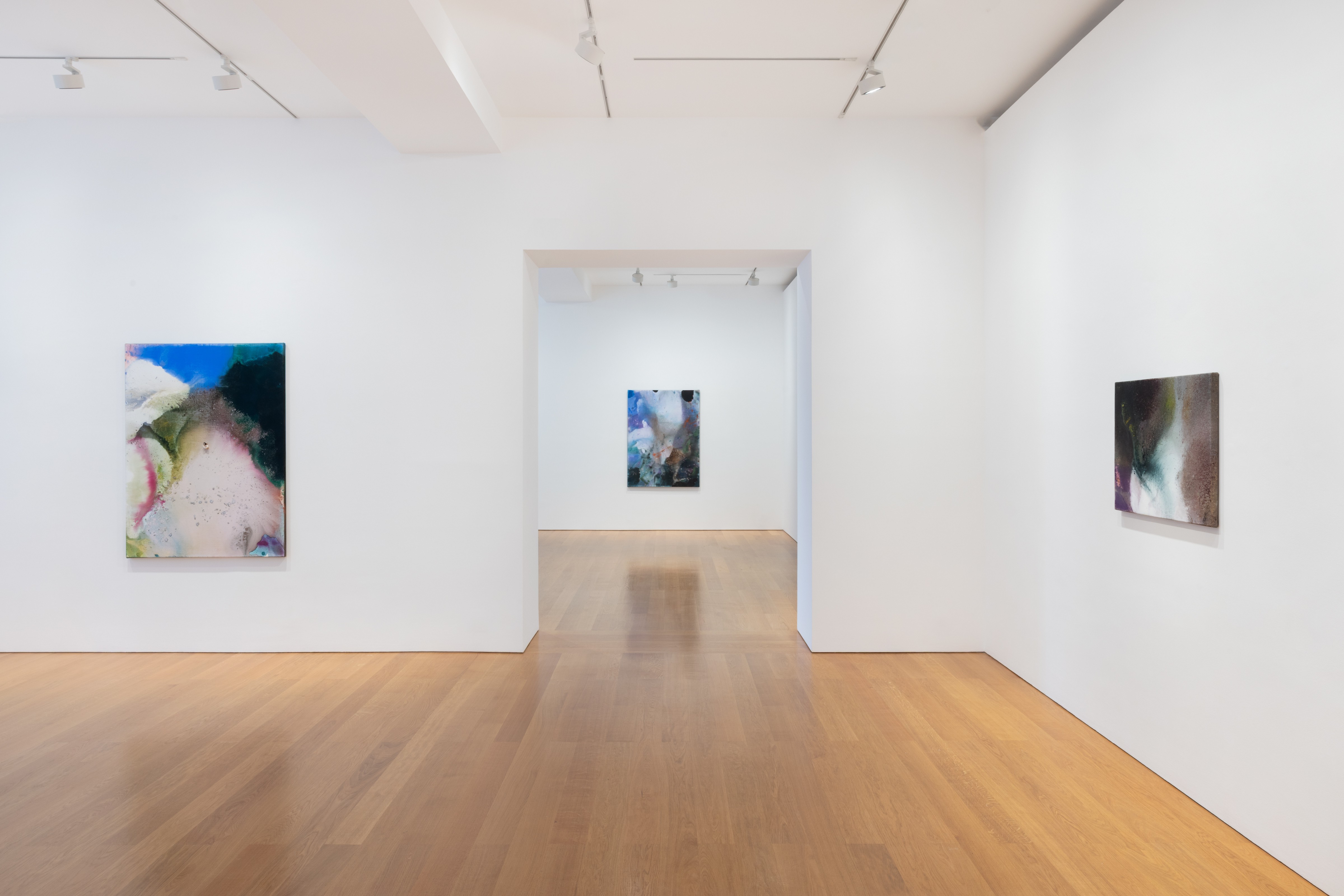 Mary Weatherford, Persephone at Gagosian, photo 5