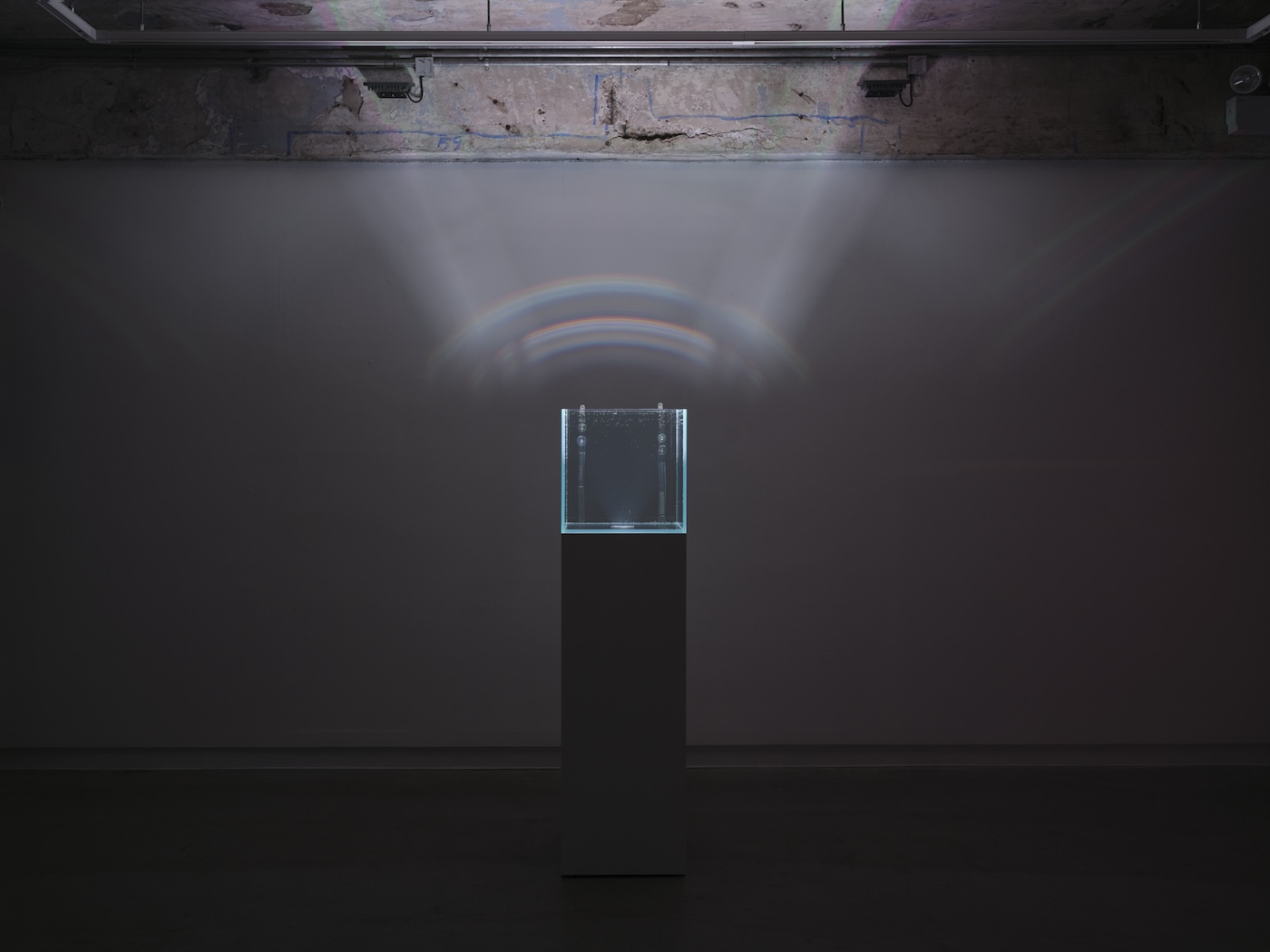 Trevor Yeung, Swallowing Rumination, Gracefully at Blindspot Gallery, photo 2