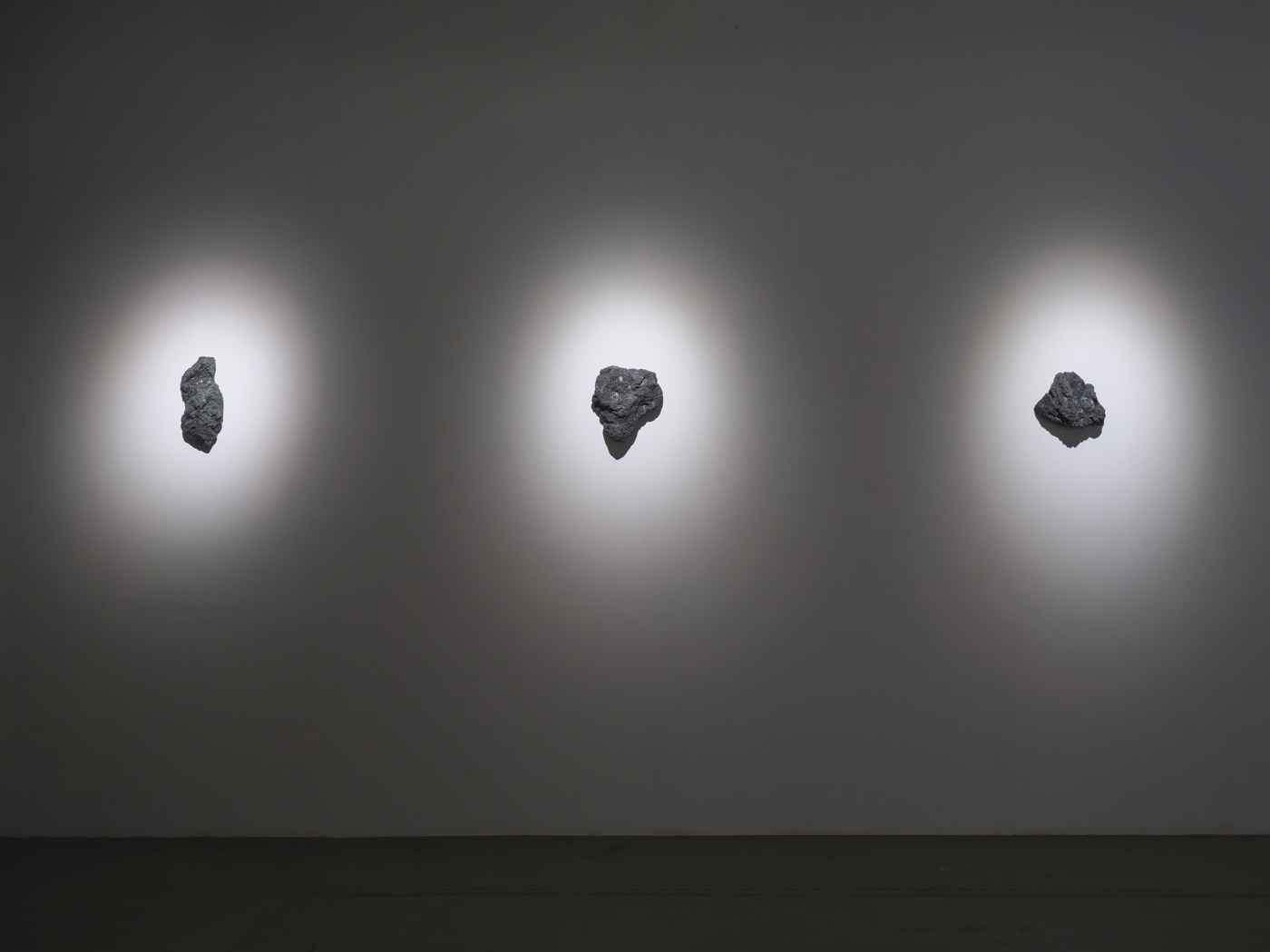 Trevor Yeung, Swallowing Rumination, Gracefully at Blindspot Gallery, photo 4