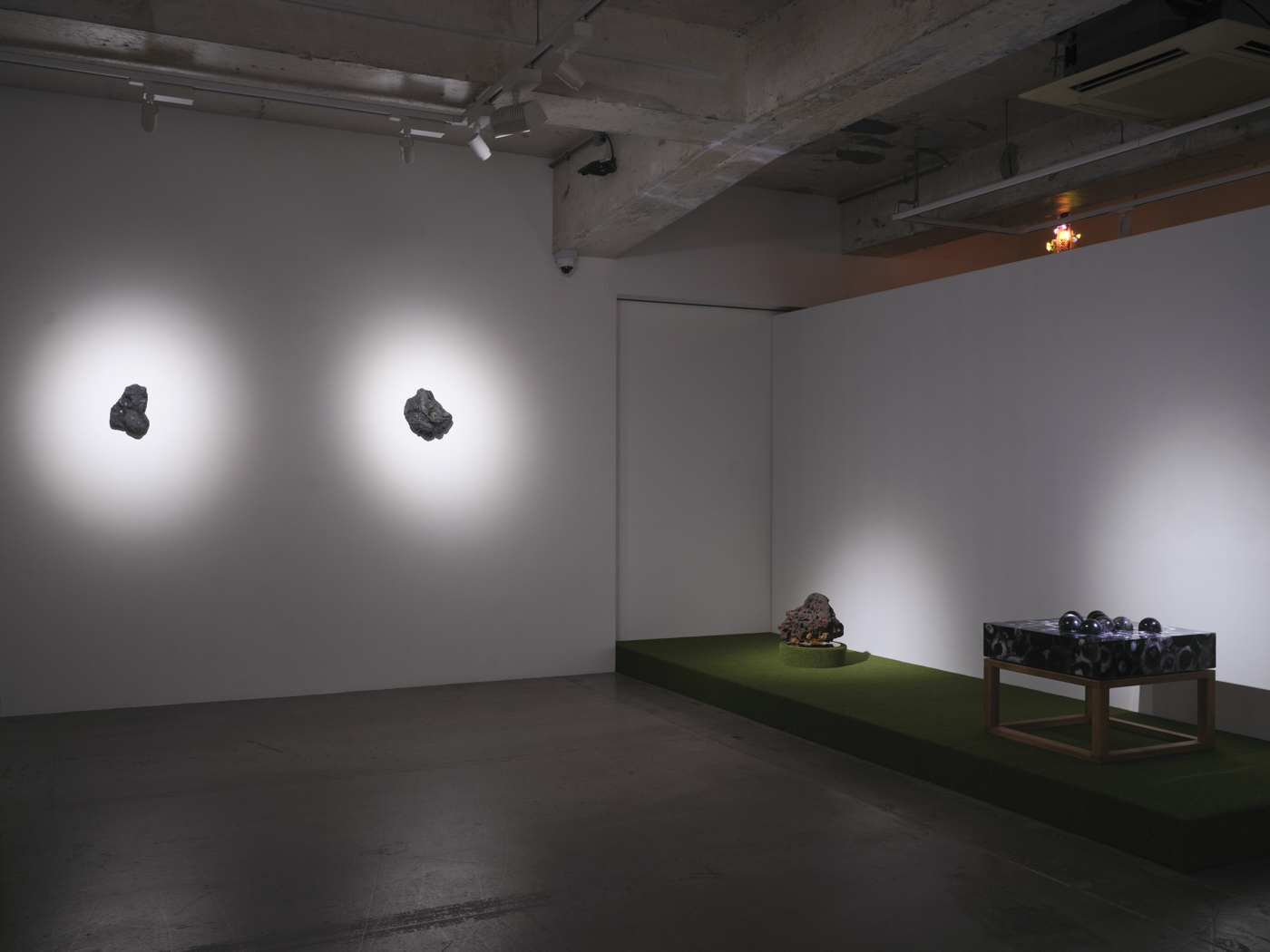 Trevor Yeung, Swallowing Rumination, Gracefully at Blindspot Gallery, photo 5