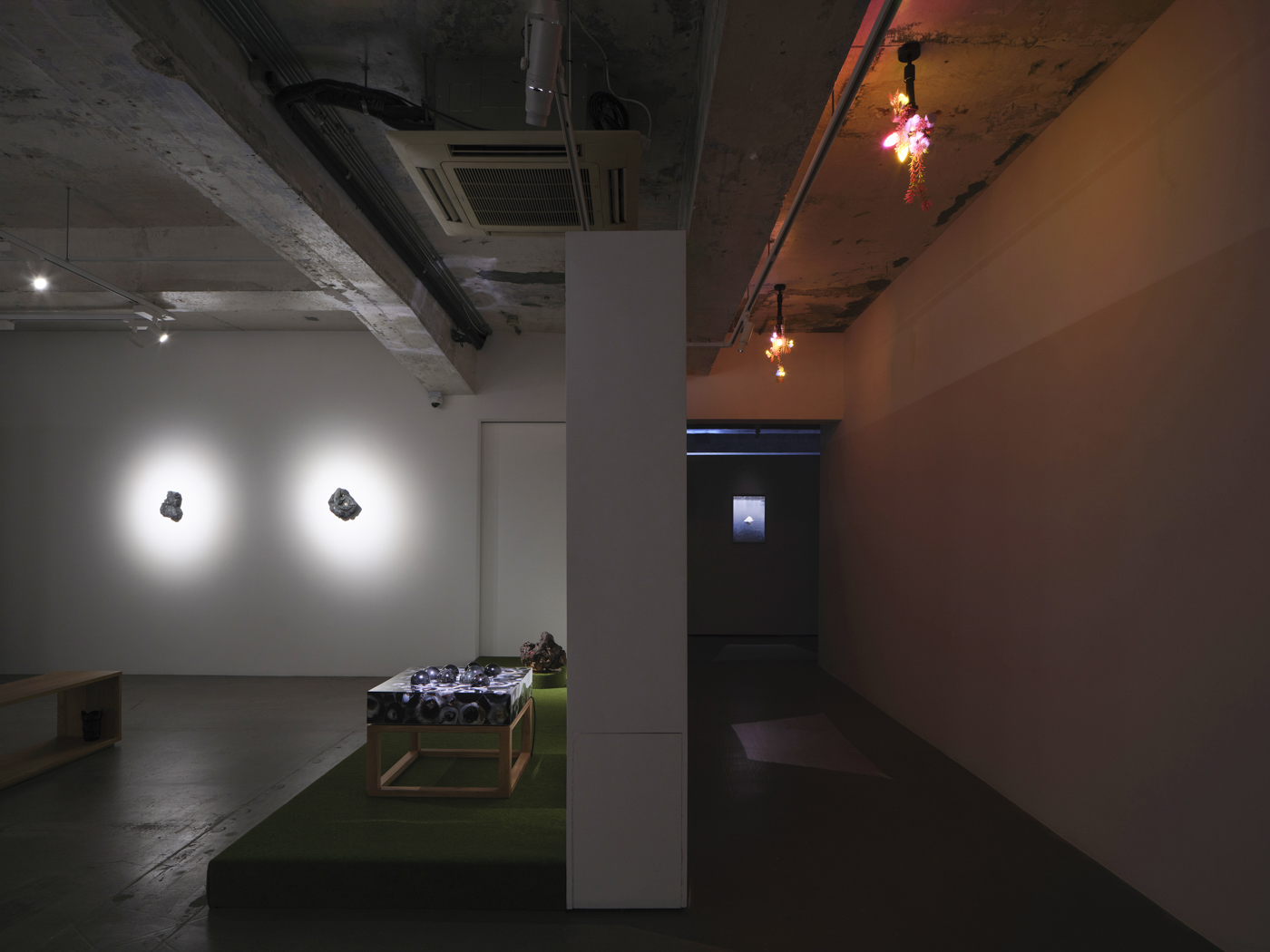 Trevor Yeung, Swallowing Rumination, Gracefully at Blindspot Gallery, photo 6