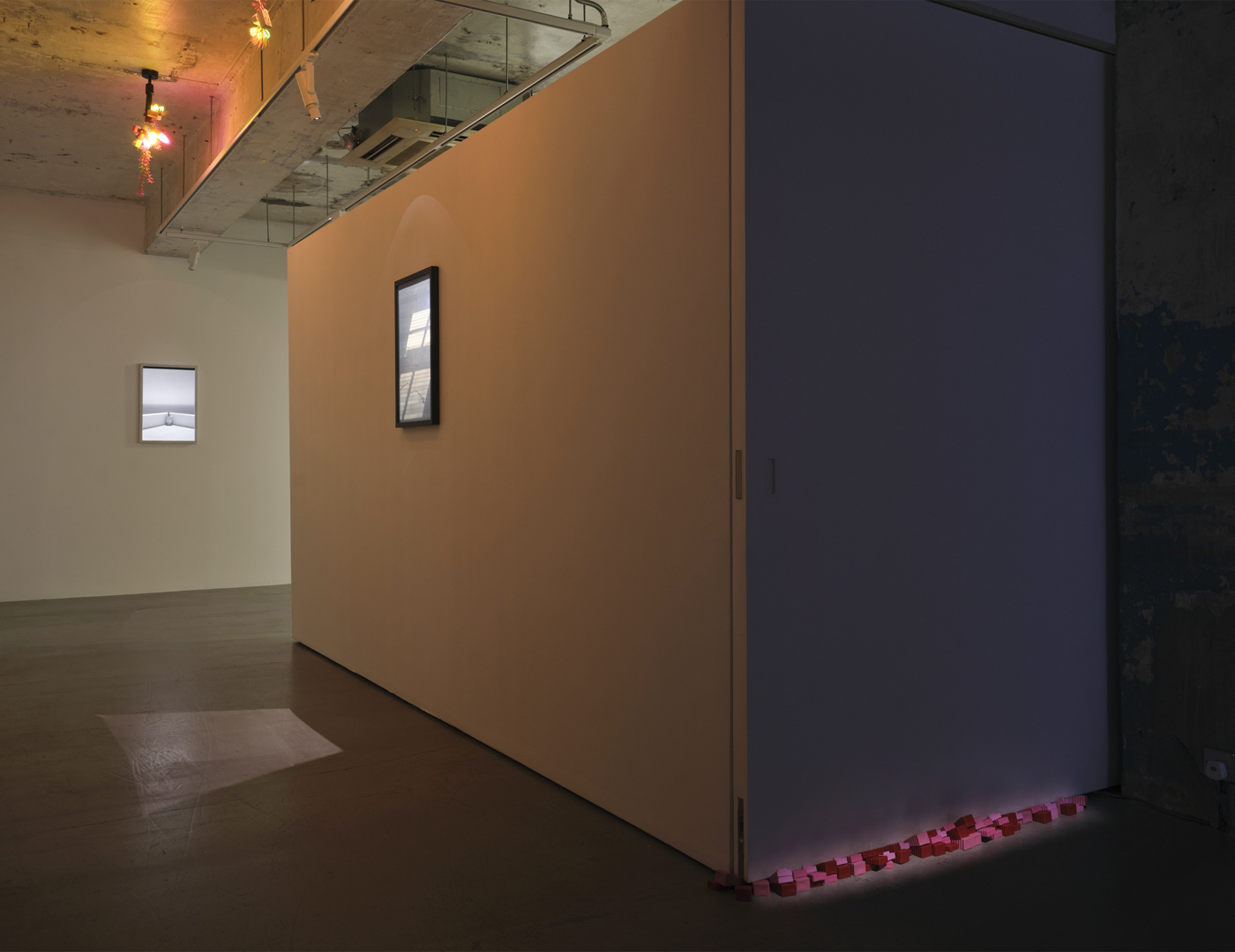 Trevor Yeung, Swallowing Rumination, Gracefully at Blindspot Gallery, photo 7