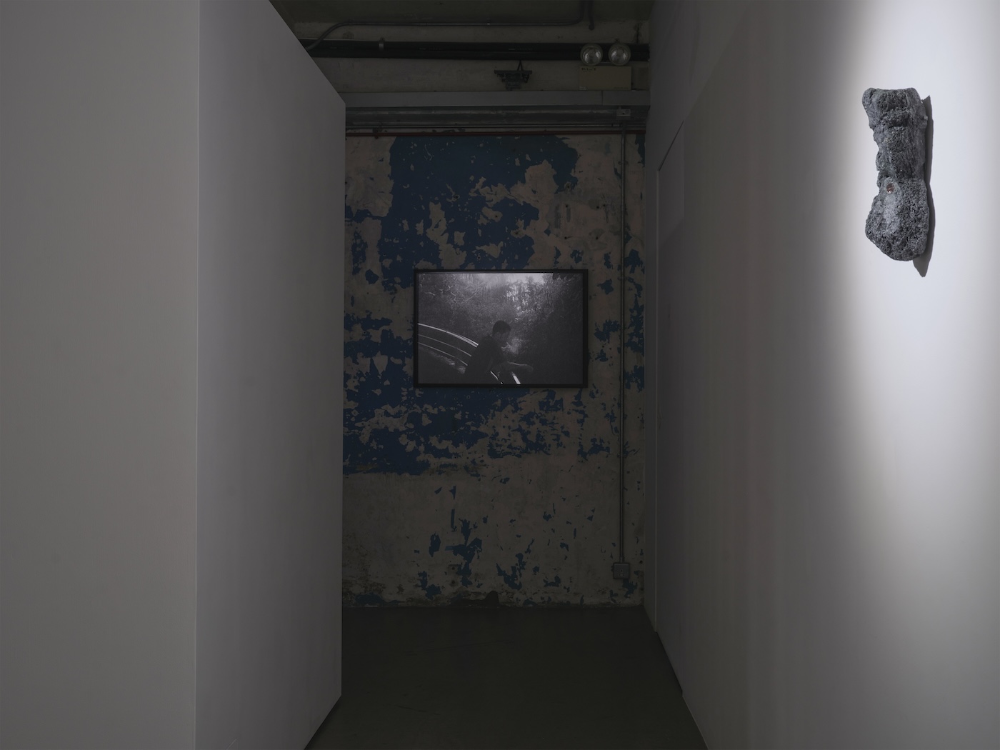 Trevor Yeung, Swallowing Rumination, Gracefully at Blindspot Gallery, photo 10