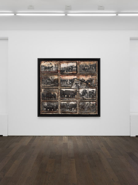 Peter Beard, The Scheme of Things at Ceysson & Bénétière, photo 2