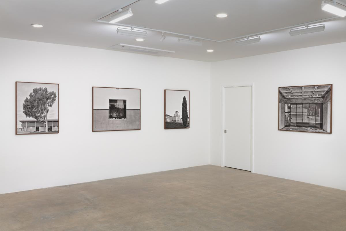 Amir Zaki, No Dust to Settle at Diane Rosenstein, photo 2