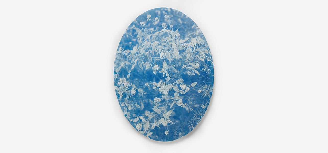 Eve Biddle, Stay With Me at Sargent's Daughters, photo 2