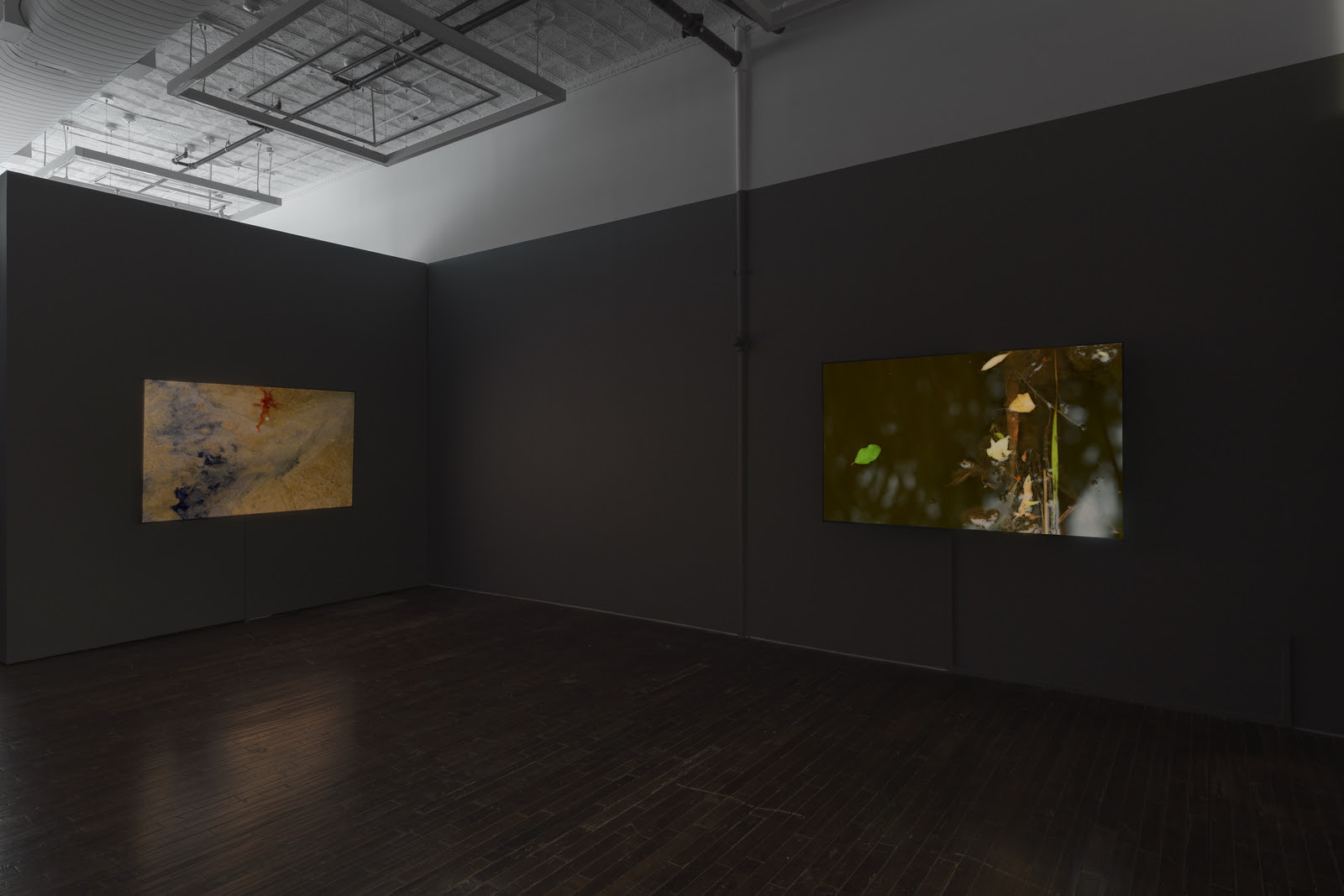 Peter Campus, What Dreams May Come at Cristin Tierney, photo 2