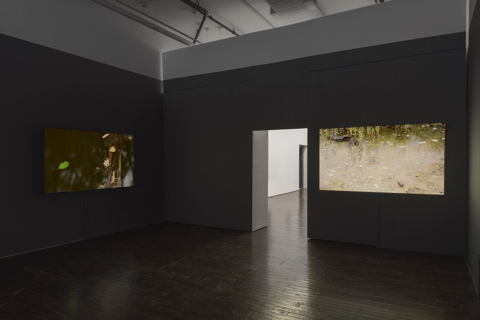 Peter Campus, What Dreams May Come at Cristin Tierney, photo 3