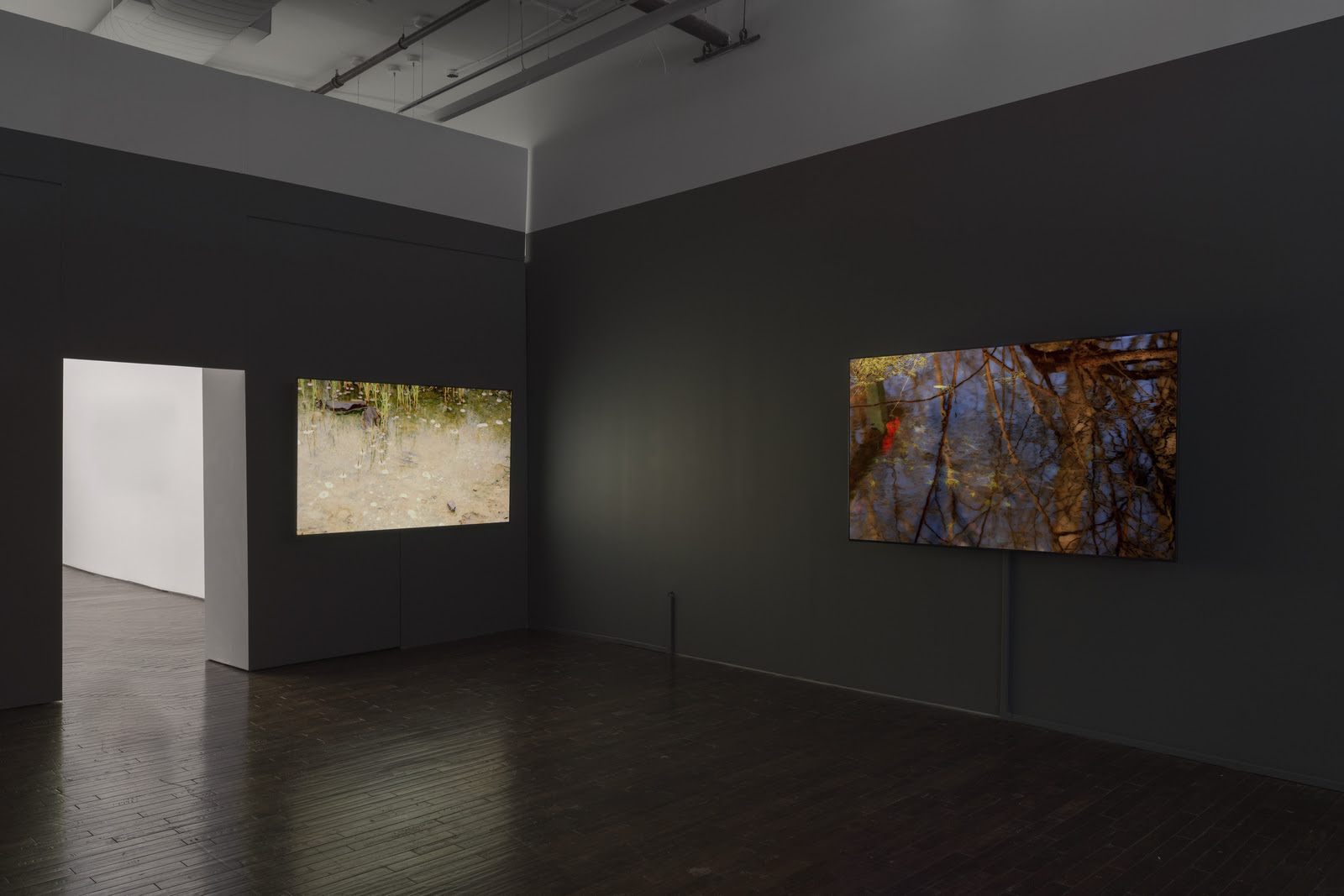Peter Campus, What Dreams May Come at Cristin Tierney, photo 4
