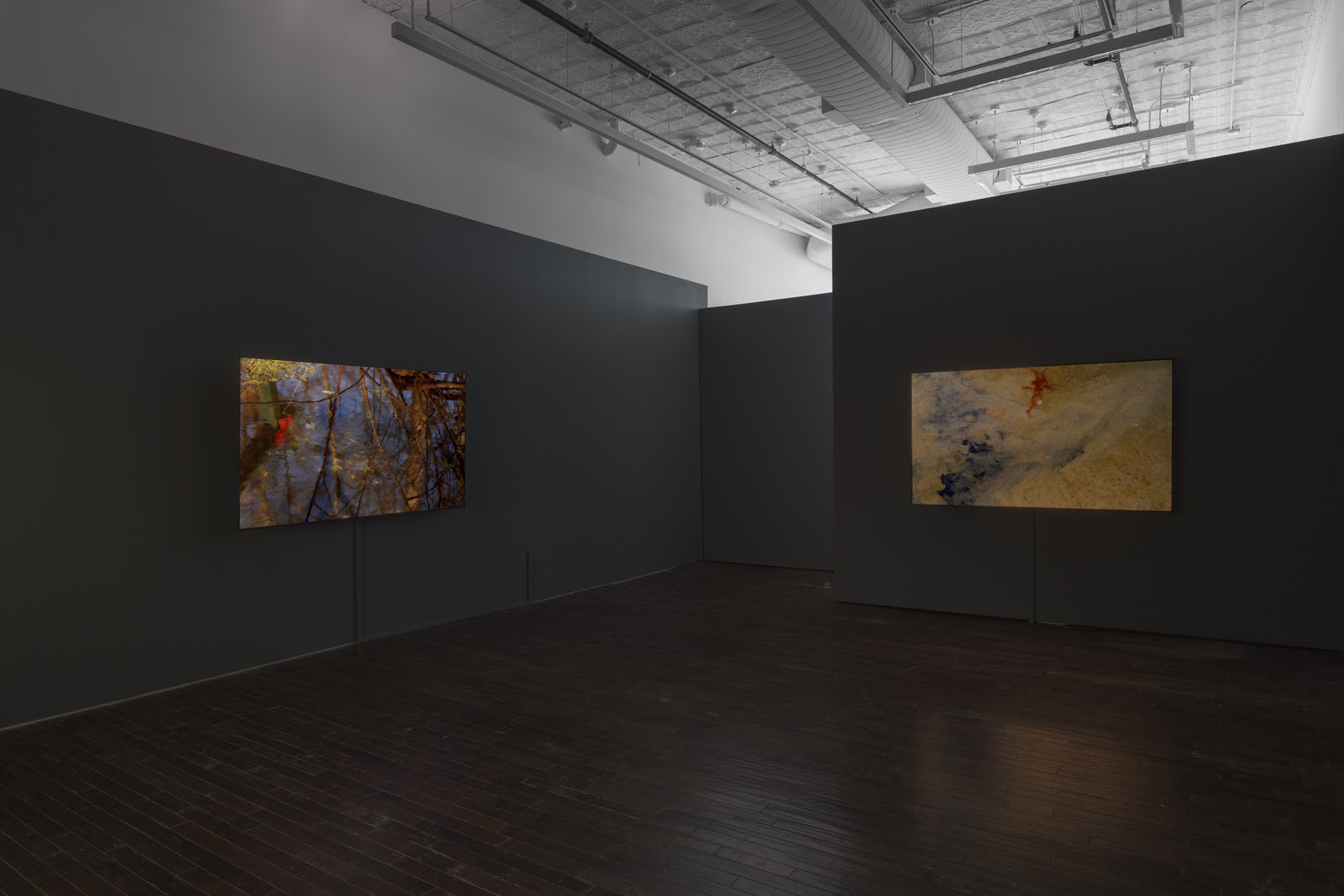 Peter Campus, What Dreams May Come at Cristin Tierney, photo 5