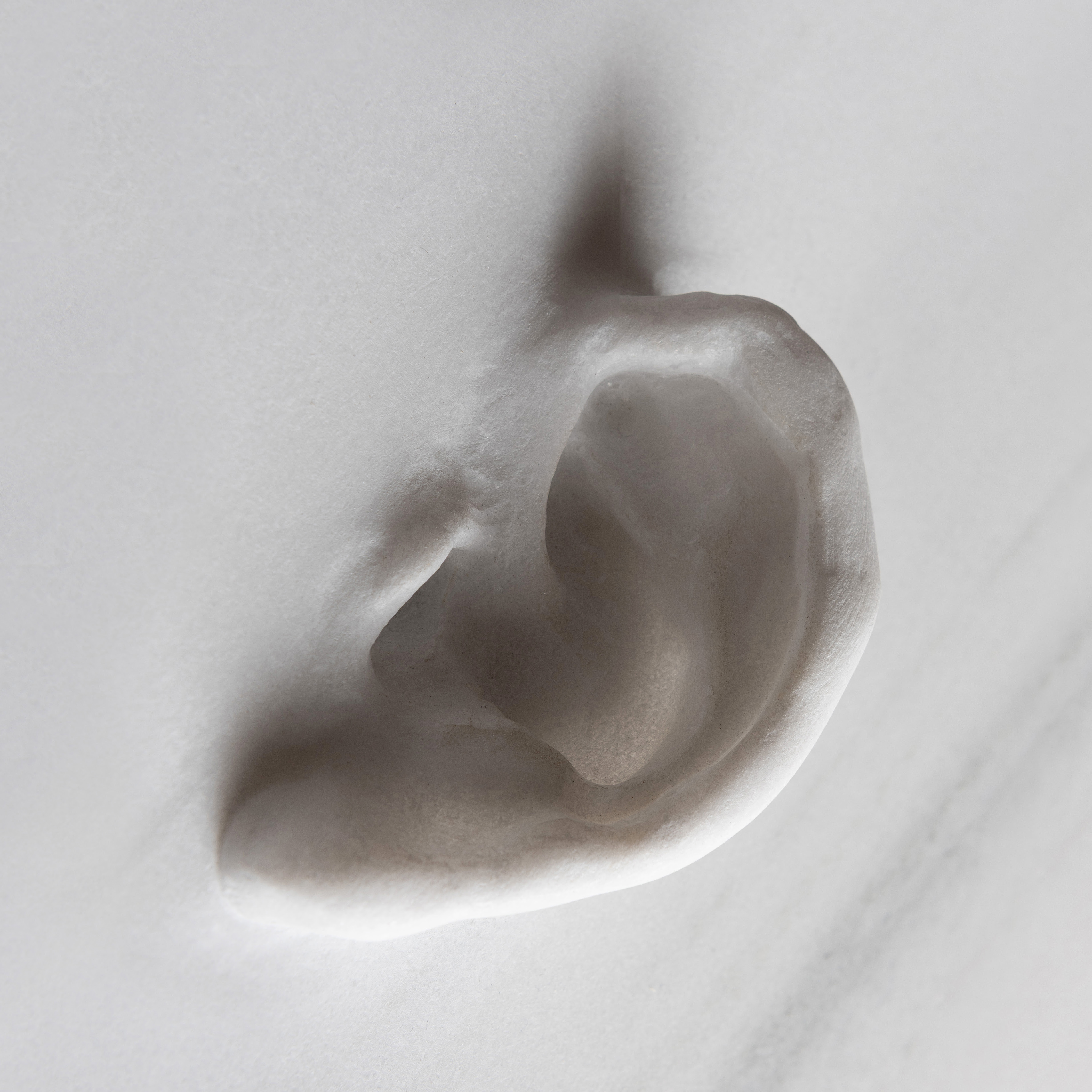 Not Vital, Listening + Looking at Thaddaeus Ropac, photo 2